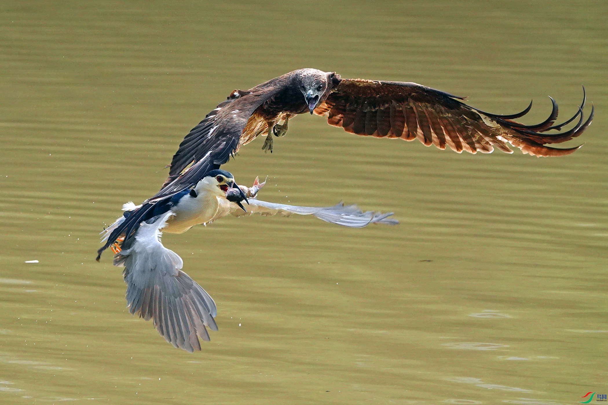 �ڶ�� (��ʮ��) (2).JPG