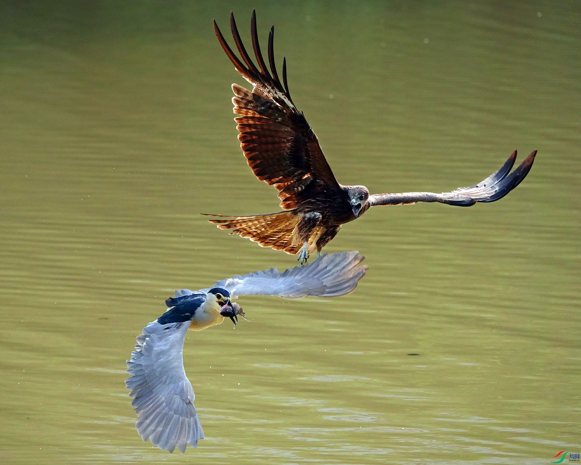 �ڶ�� (��ʮ��) (4).JPG