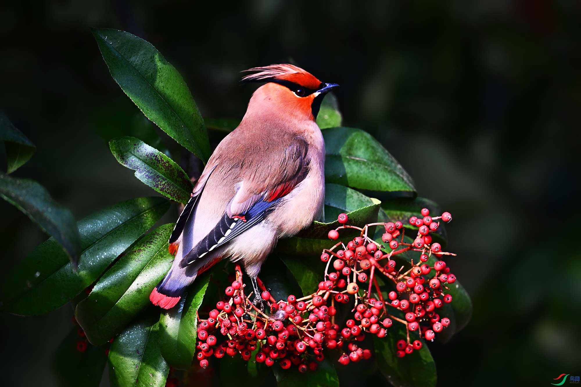 DSC_1403_.jpg