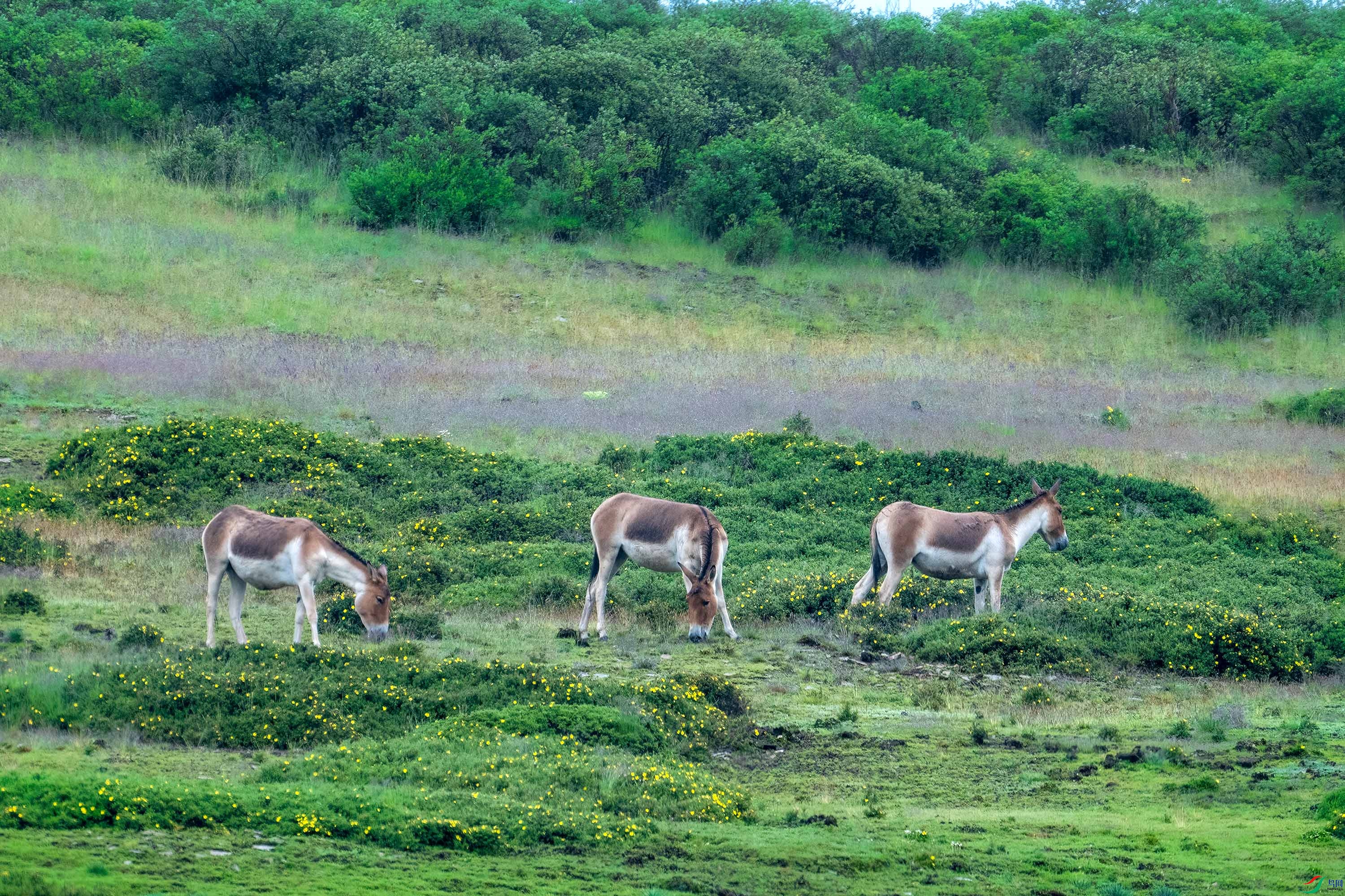 _DSC4409 ���� 2.jpg-1.jpg