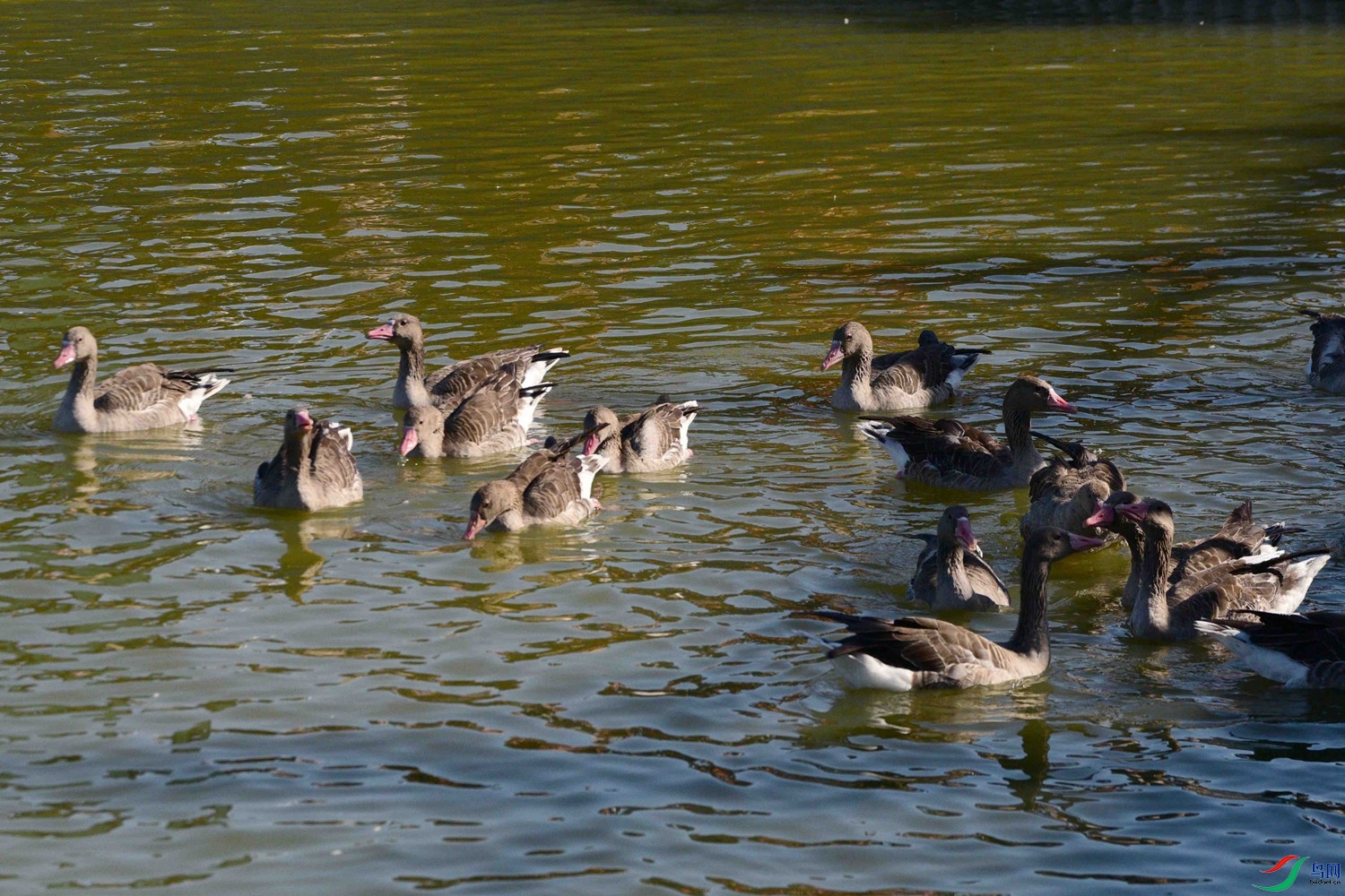 DSC_6899.JPG