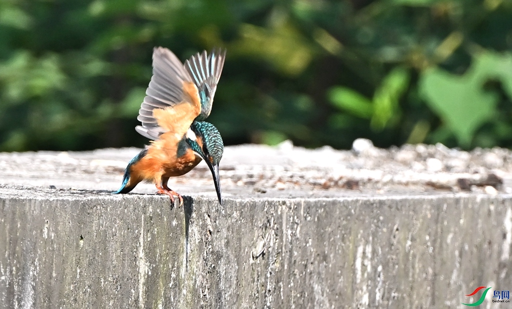 DSC_7092.JPG