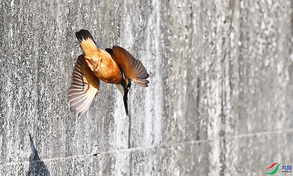 DSC_7189.JPG