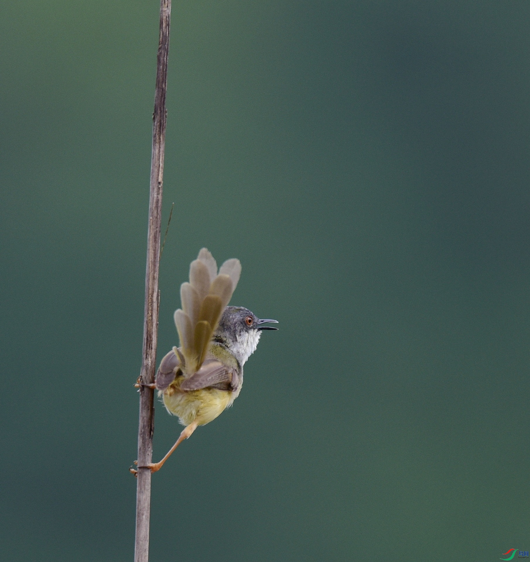 D8I_1046.jpg