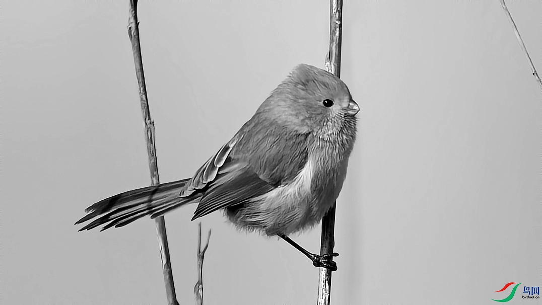 DSC06913_��ͼ��.jpg