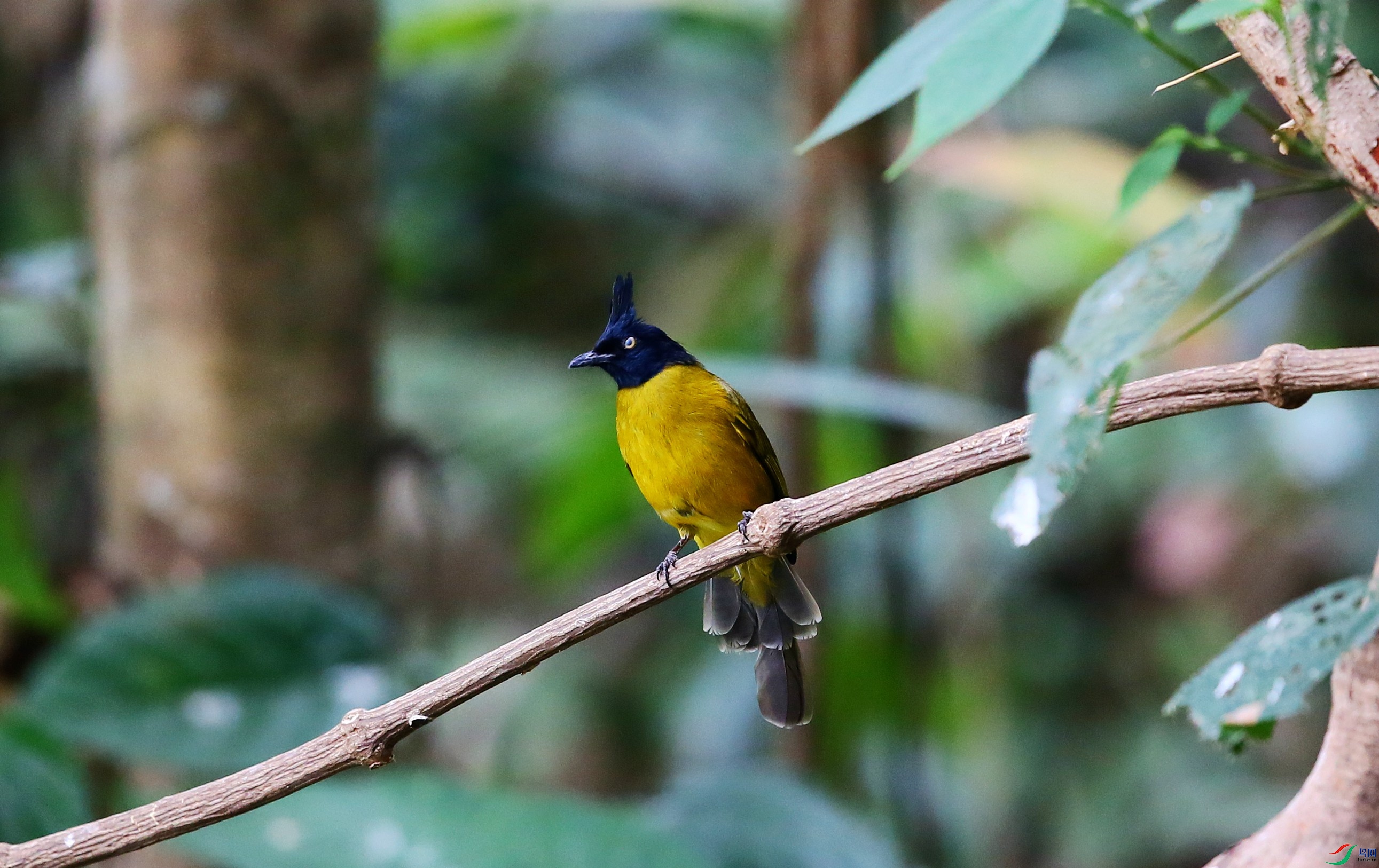 �ڹڻ��� (4).JPG