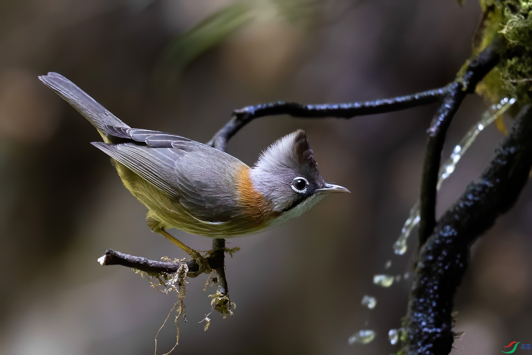 �ƾ�����