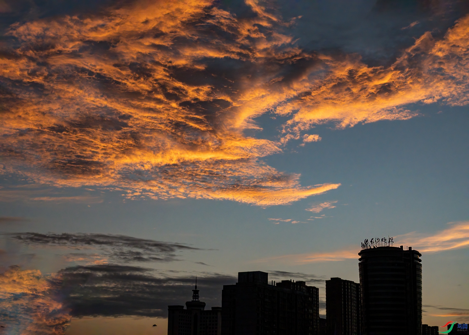 DSC00159.jpg1.jpg