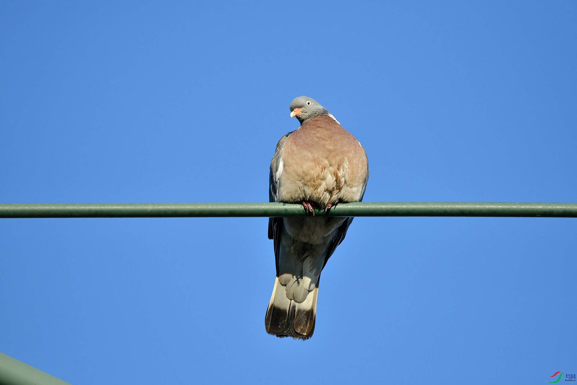 DSC_7406��β�ָ�.jpg