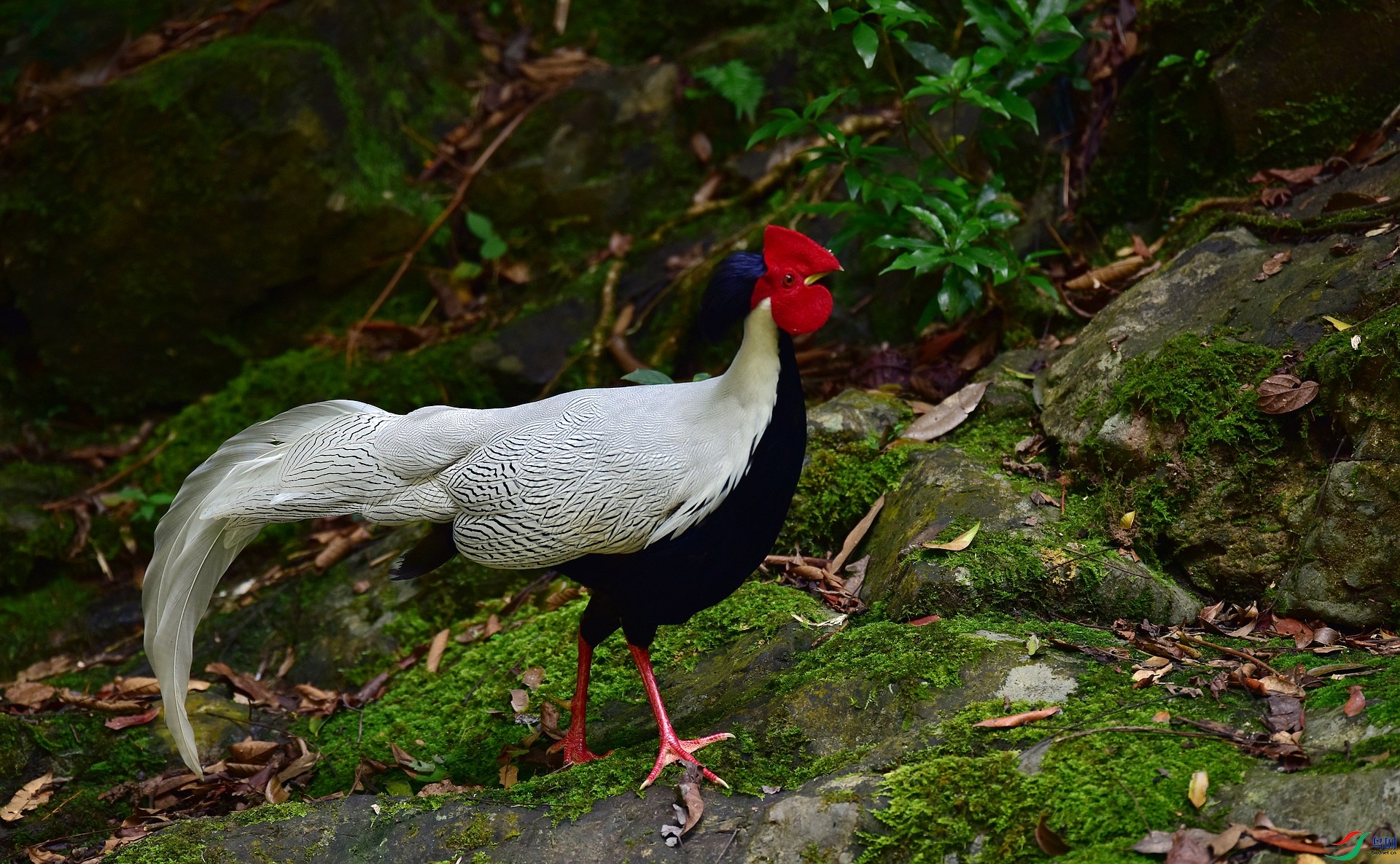 D8I_1183.jpg