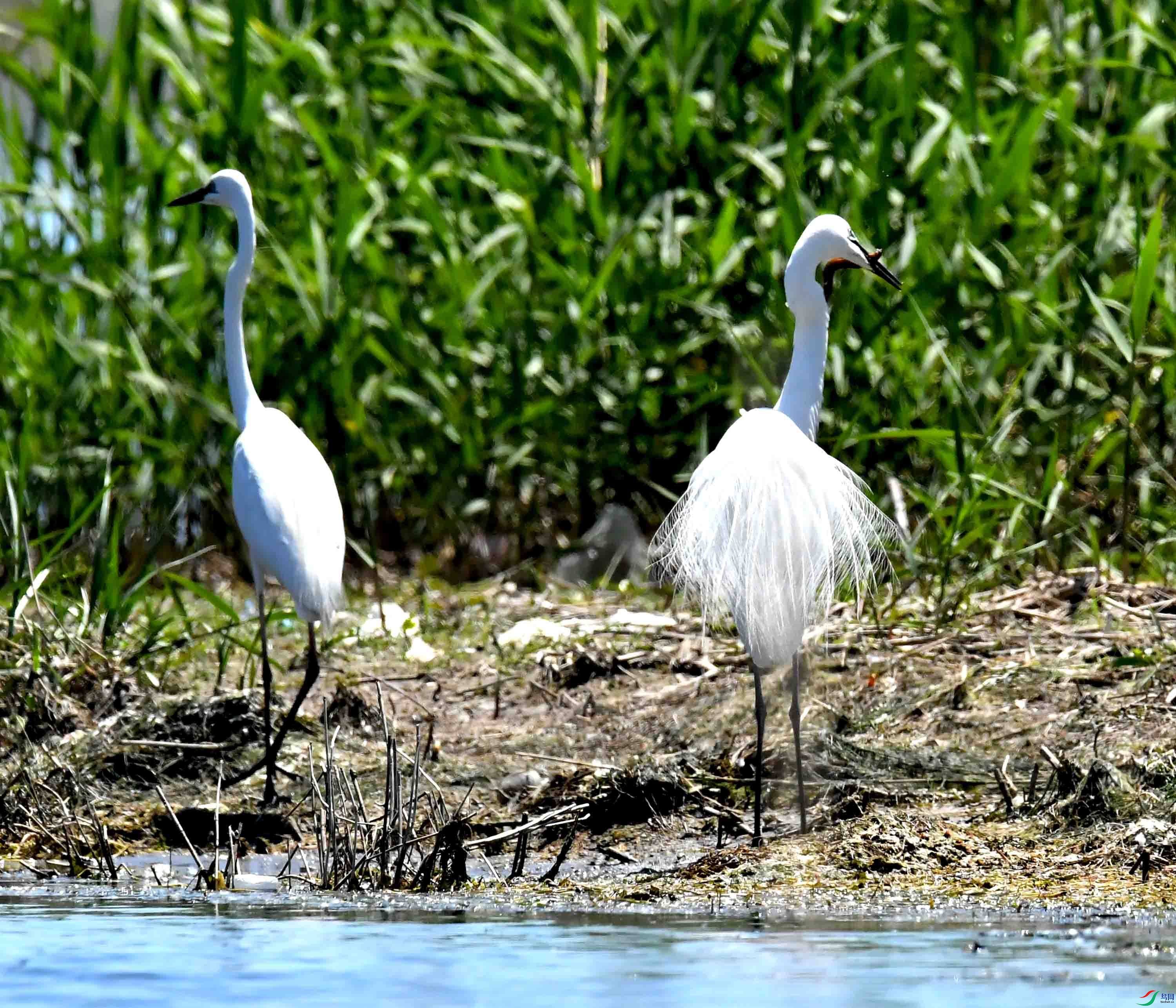 DSC_0688.JPG