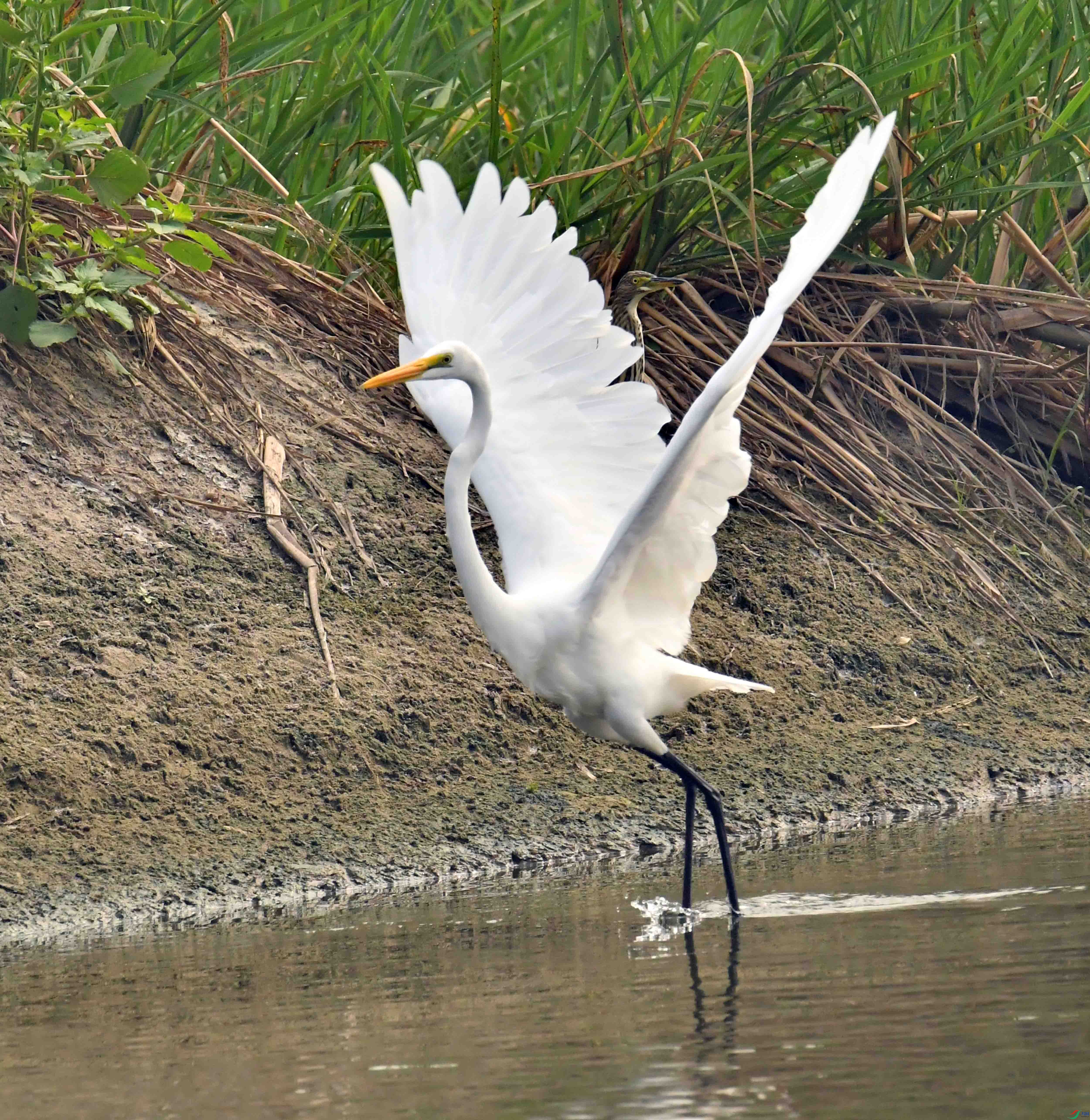 DSC_1507.JPG