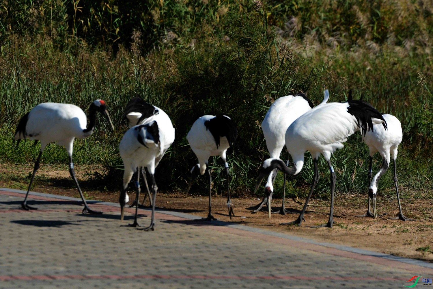 DSC_6780.JPG
