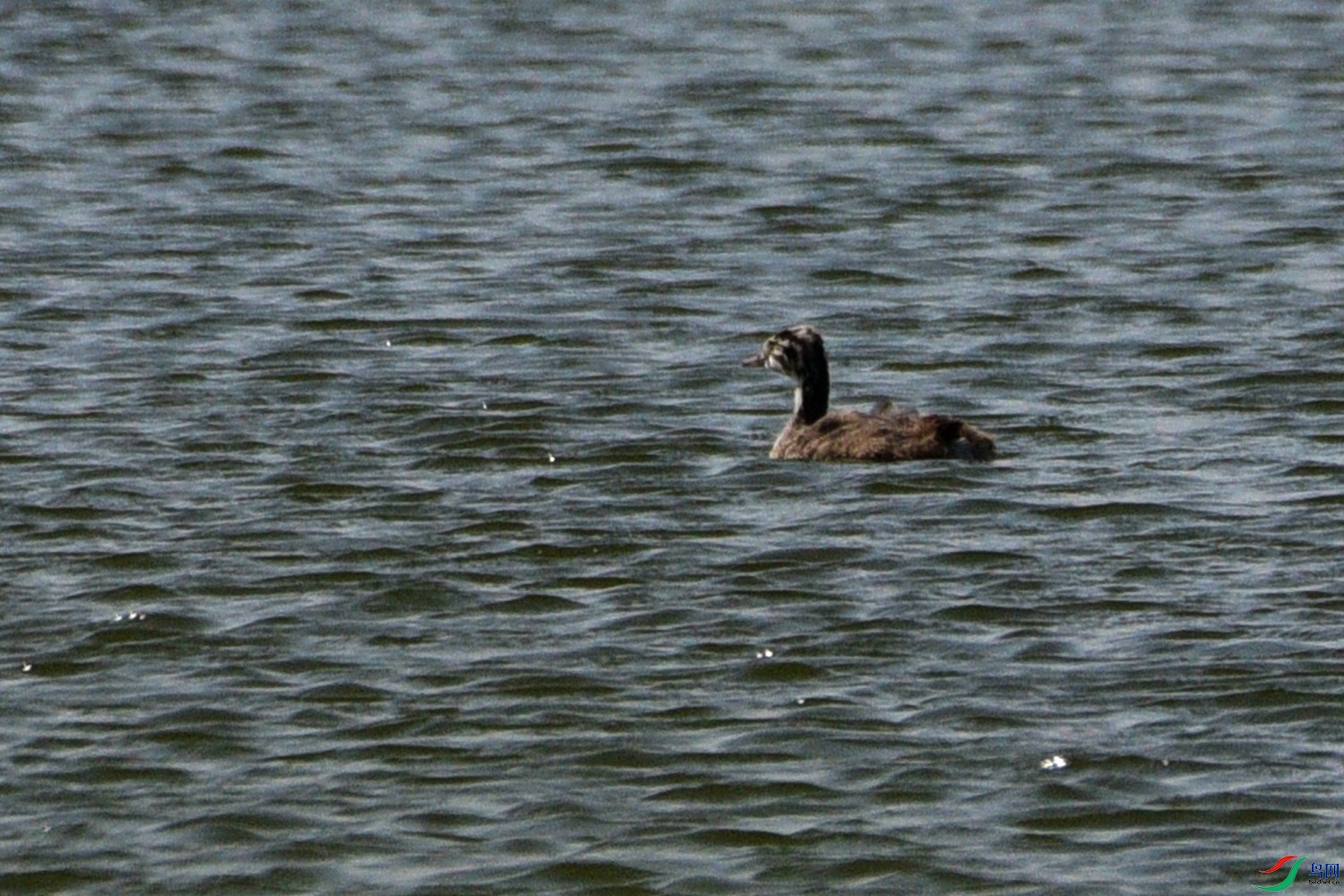 DSC_7176.JPG