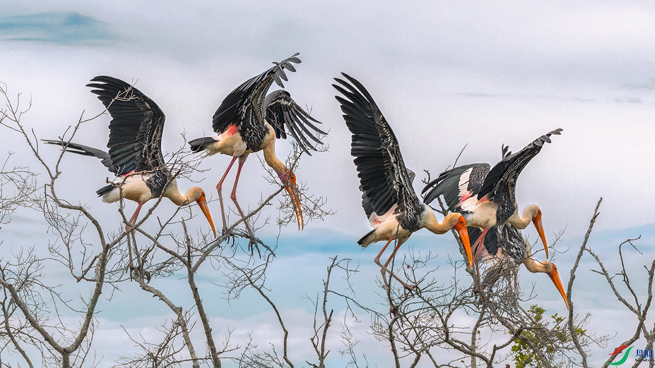 ����----���а���