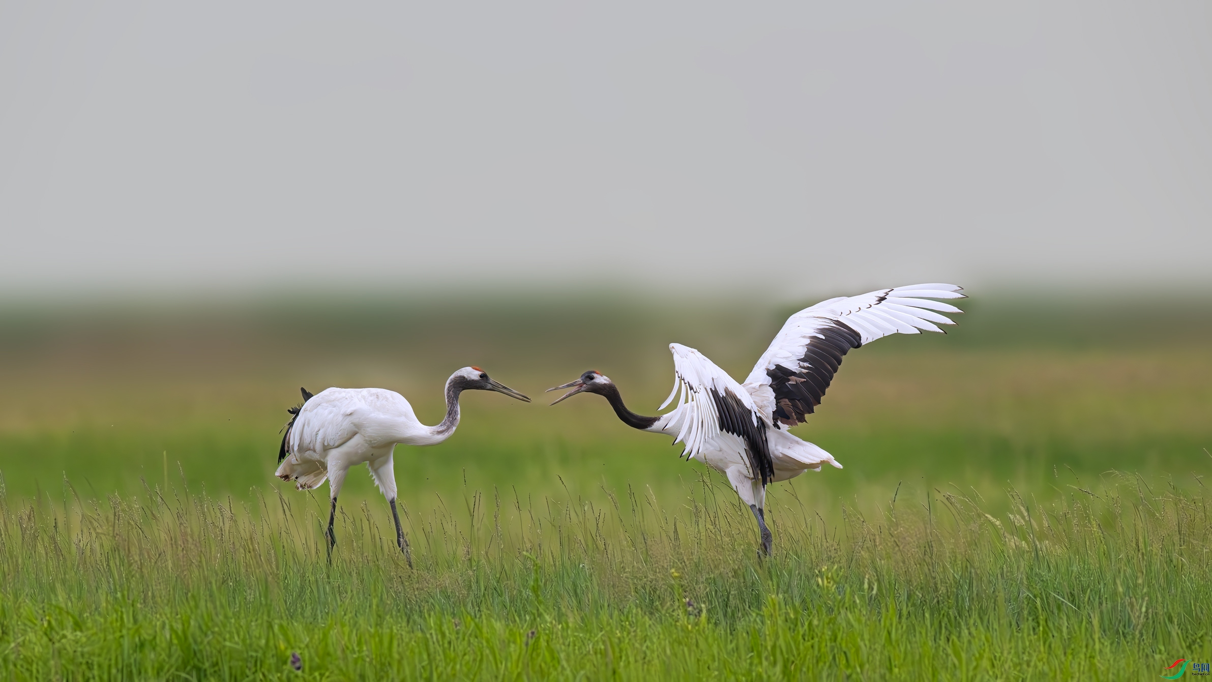 �������£��������ơ���2��