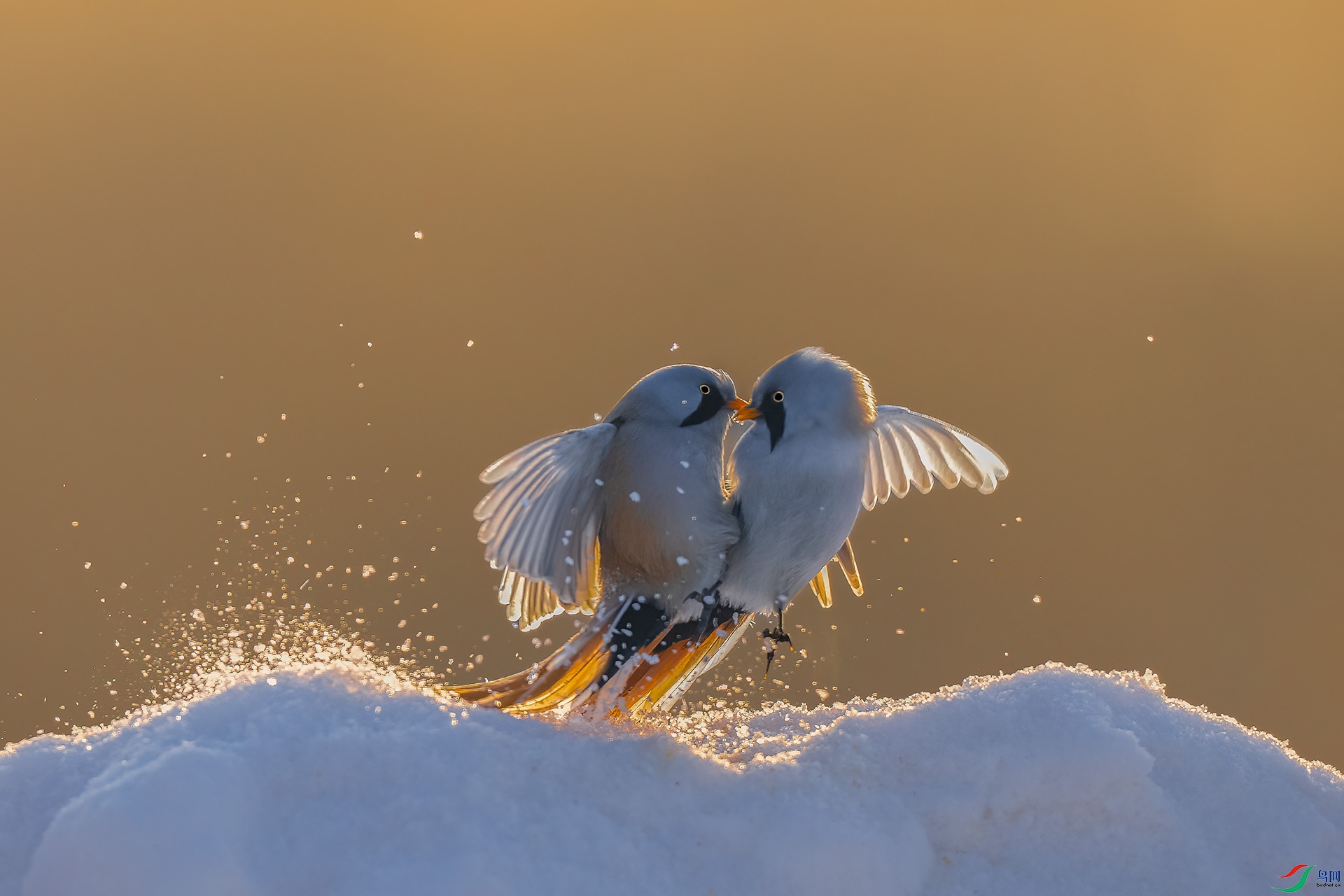 _DSC7294 ���� 2.jpg