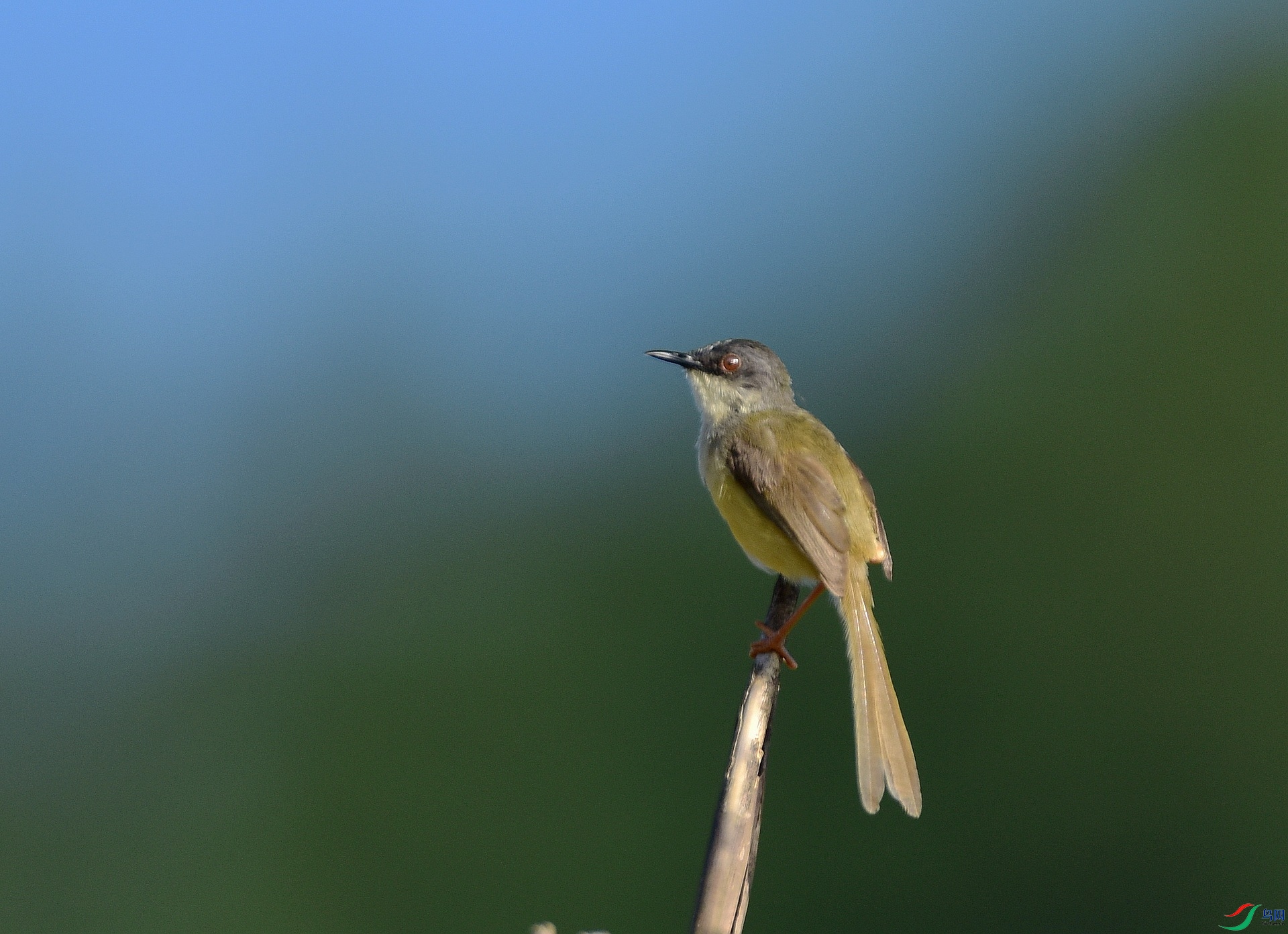 D8I_5933.jpg