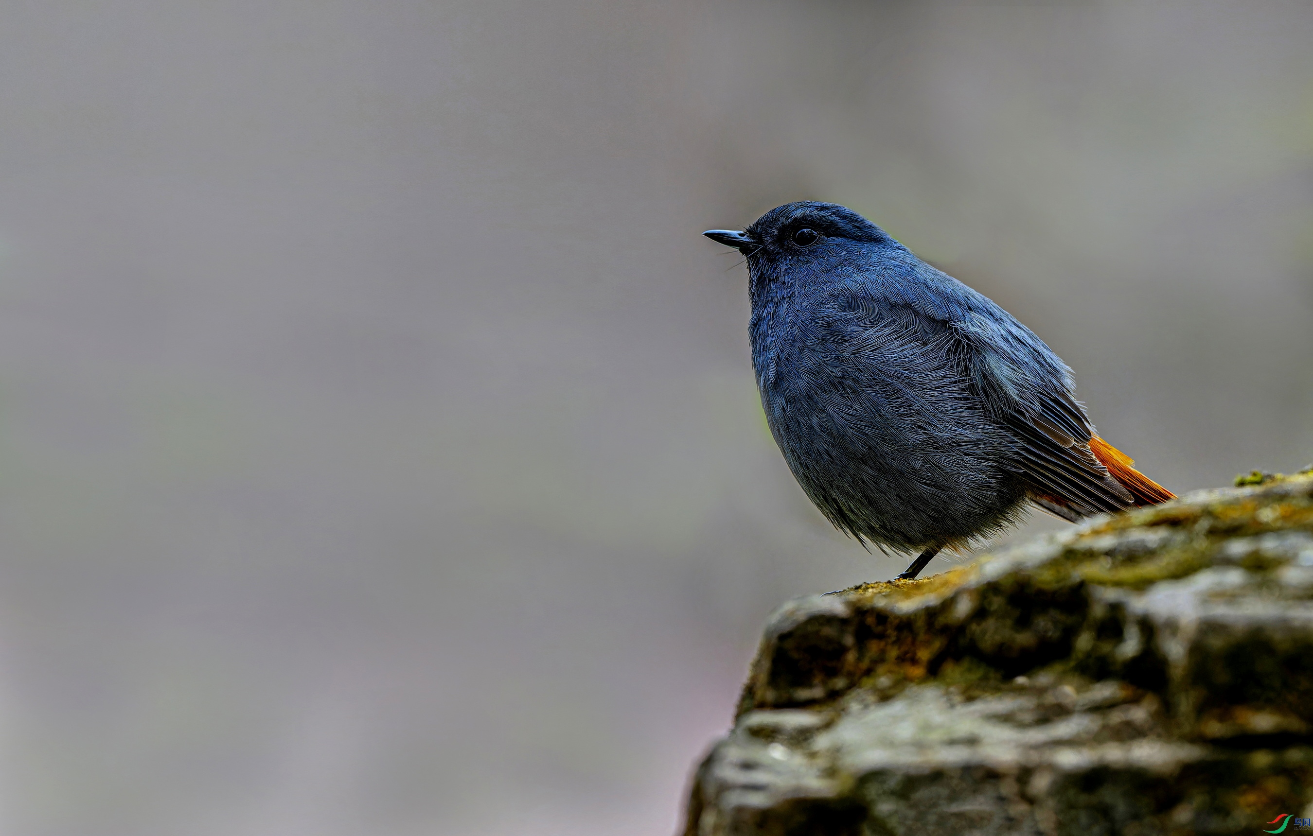 ��βˮ� -01-1.jpg