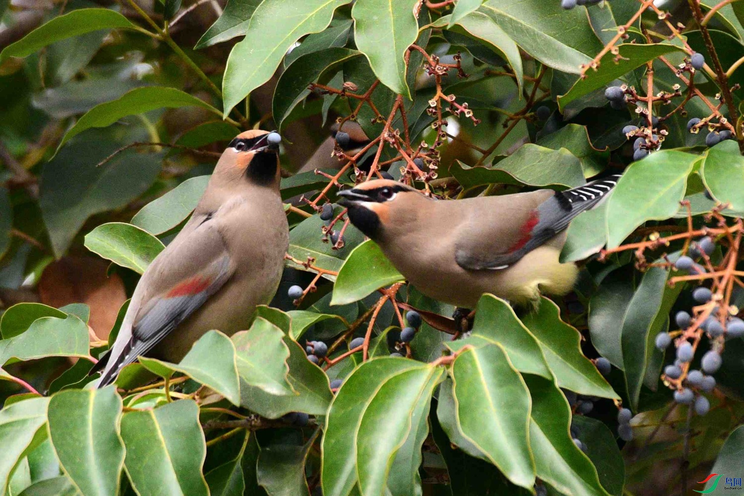 DSC_8019.JPG