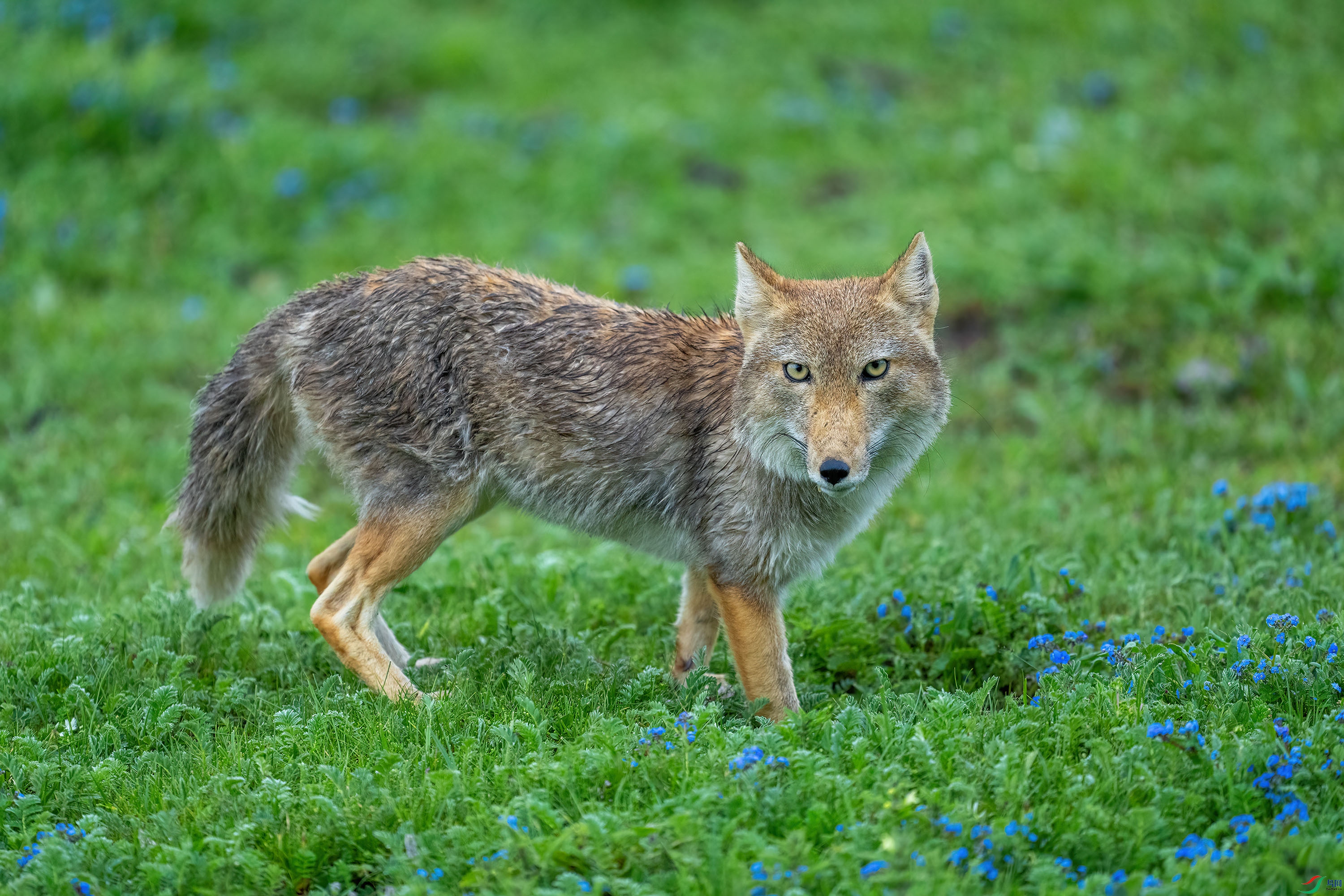 _DSC1290 ���� 2.jpg