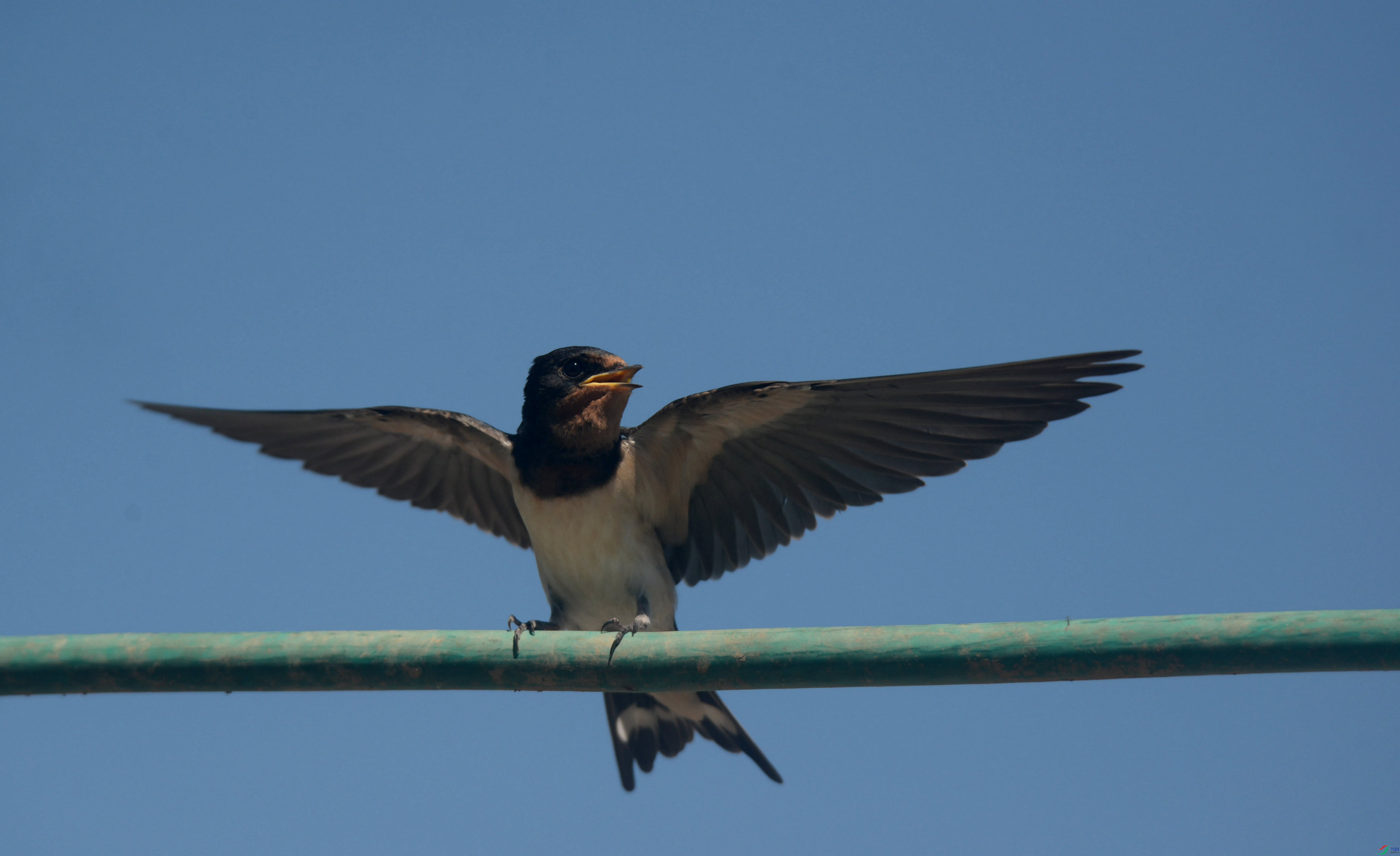 DSC_4918.jpg