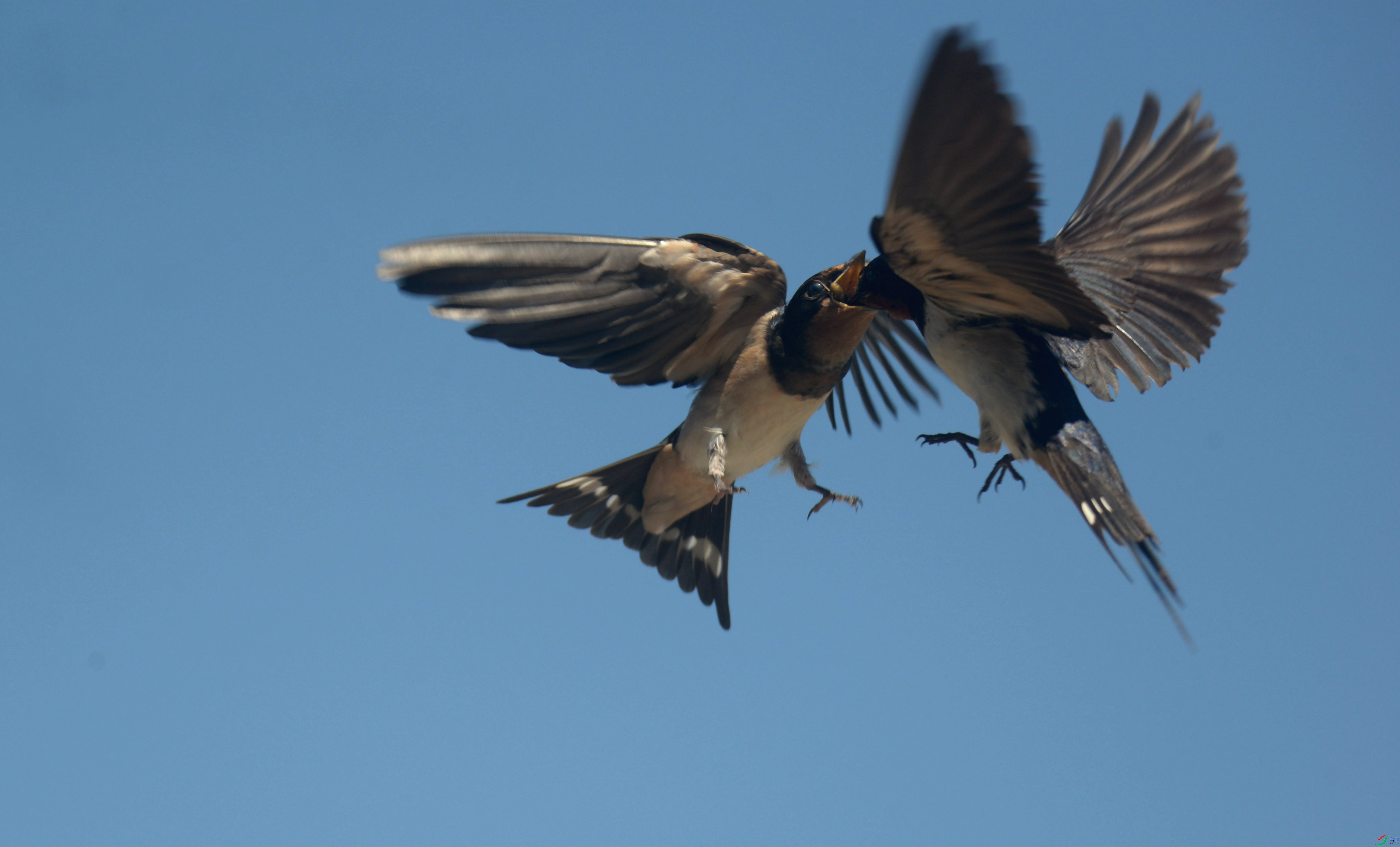 DSC_4926.jpg