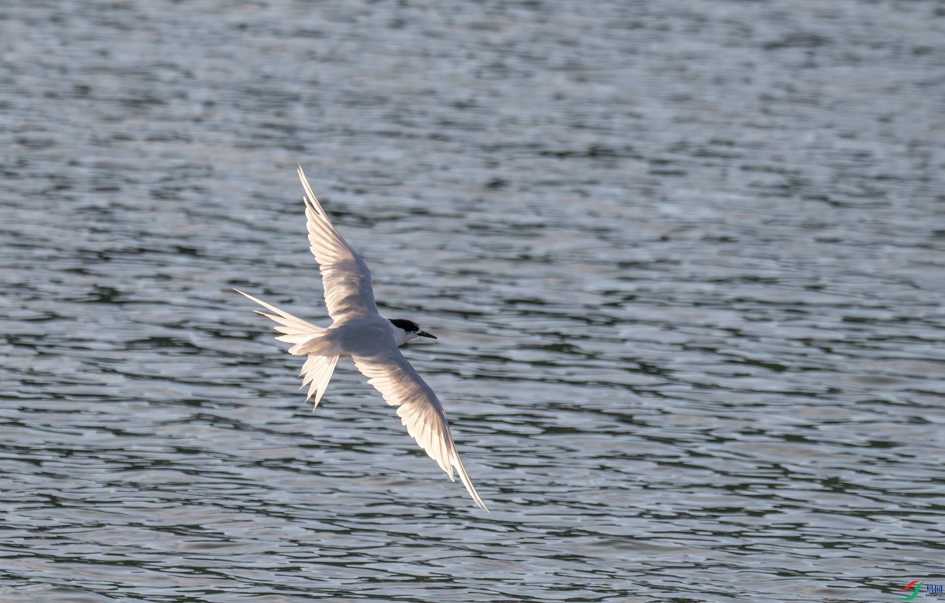 DSC_8108.jpg