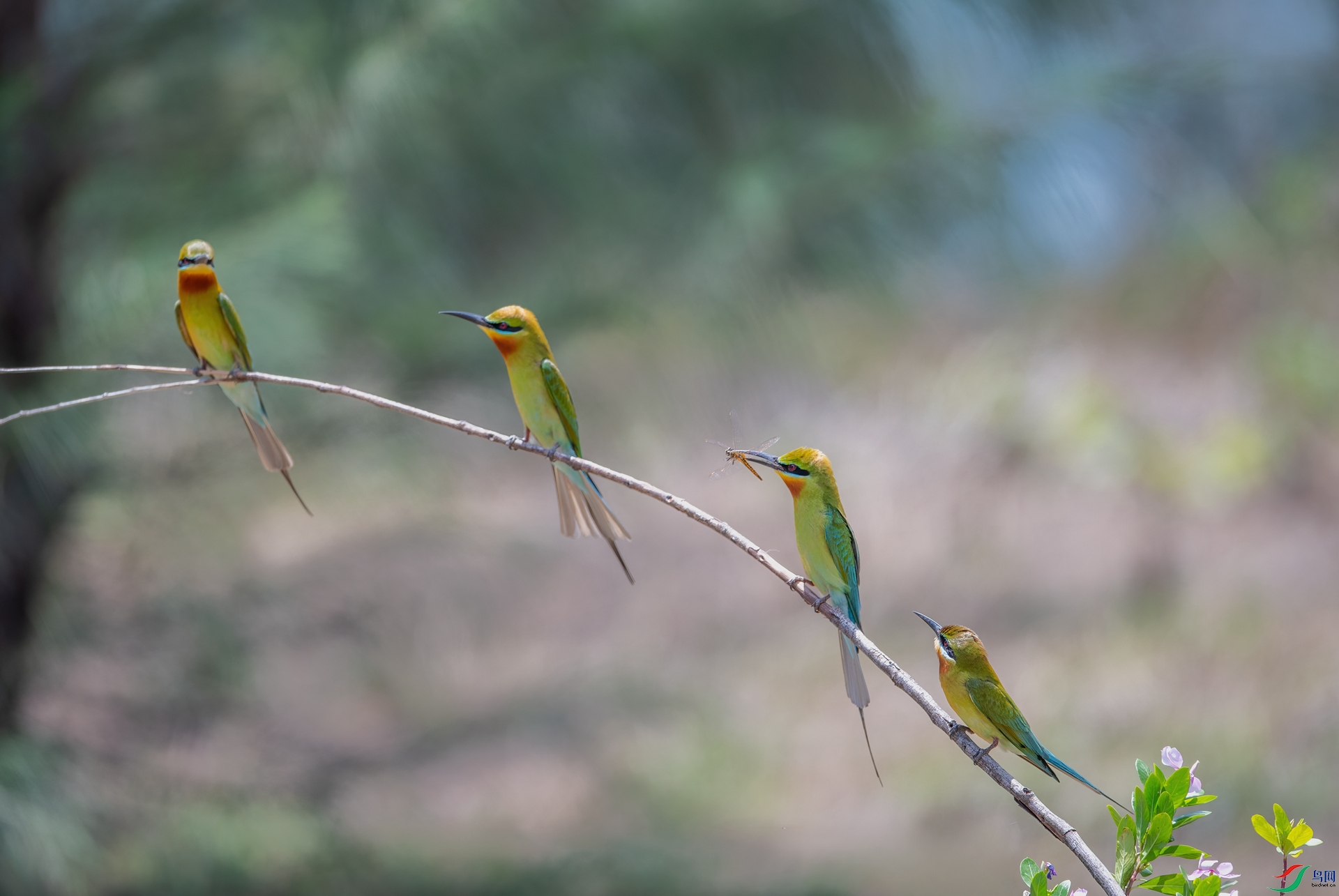 DSC_7109.jpg