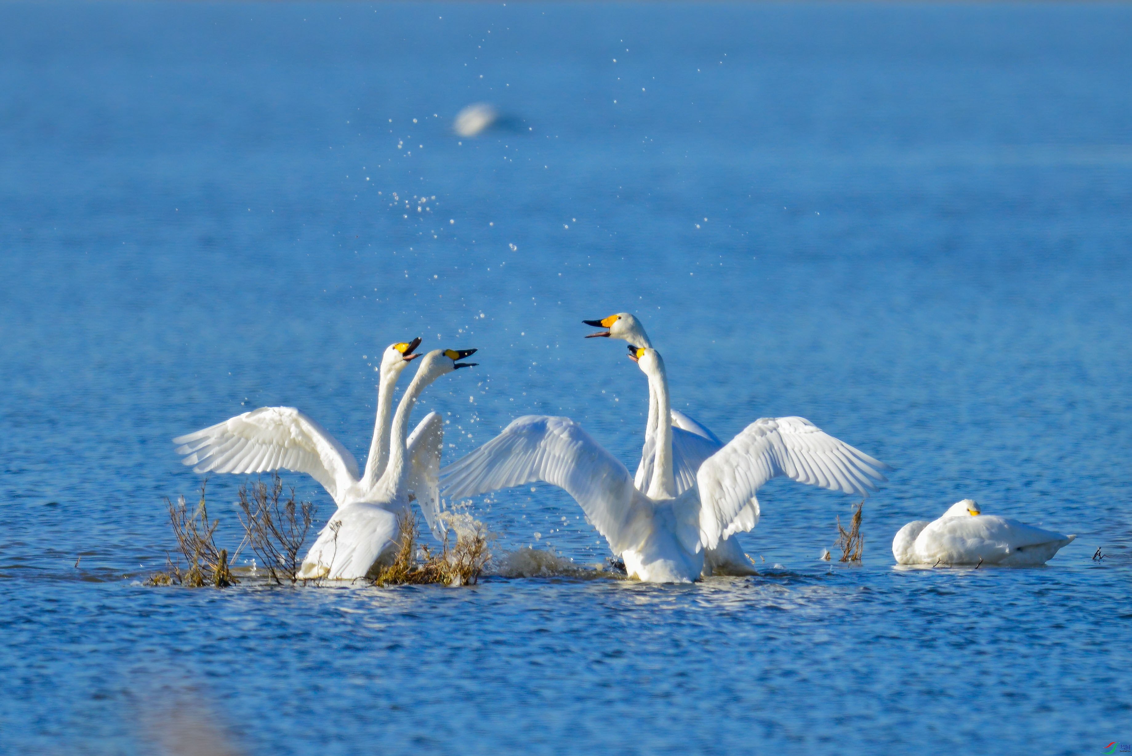 �������������