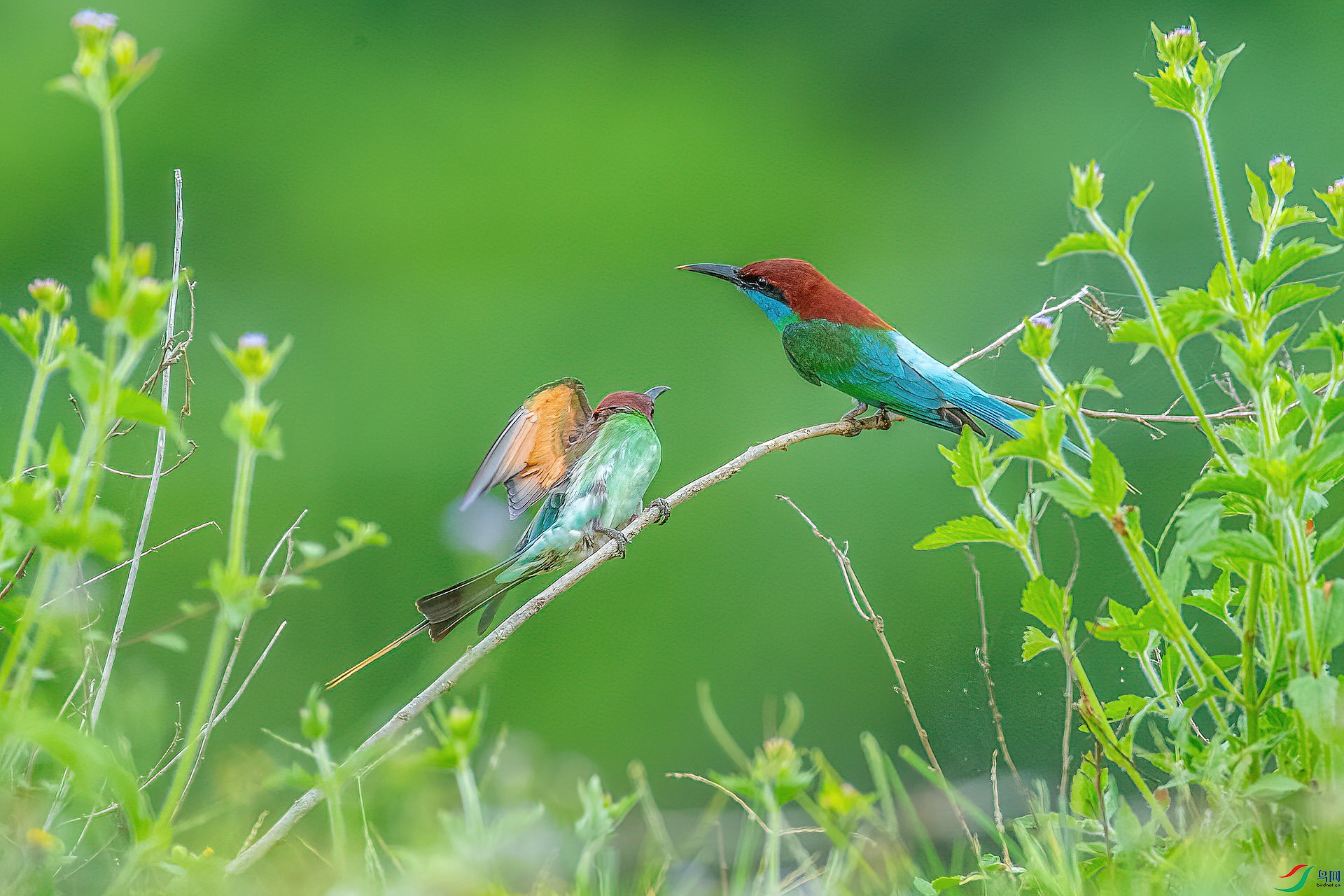 DSC_3864.jpg