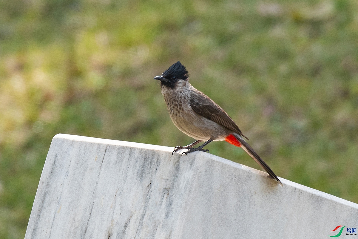 _DSC5097-.jpg