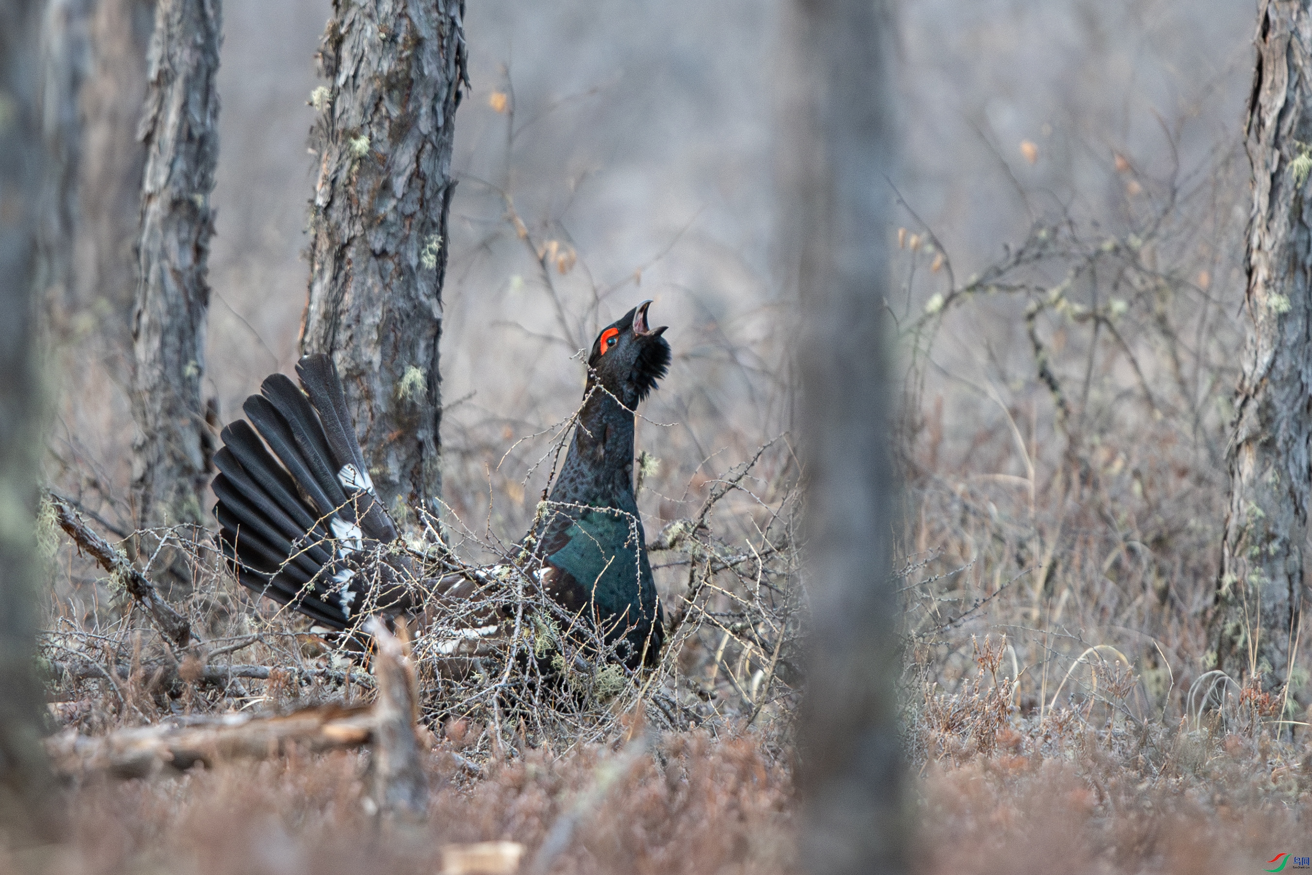 A15I0701- ����.jpg