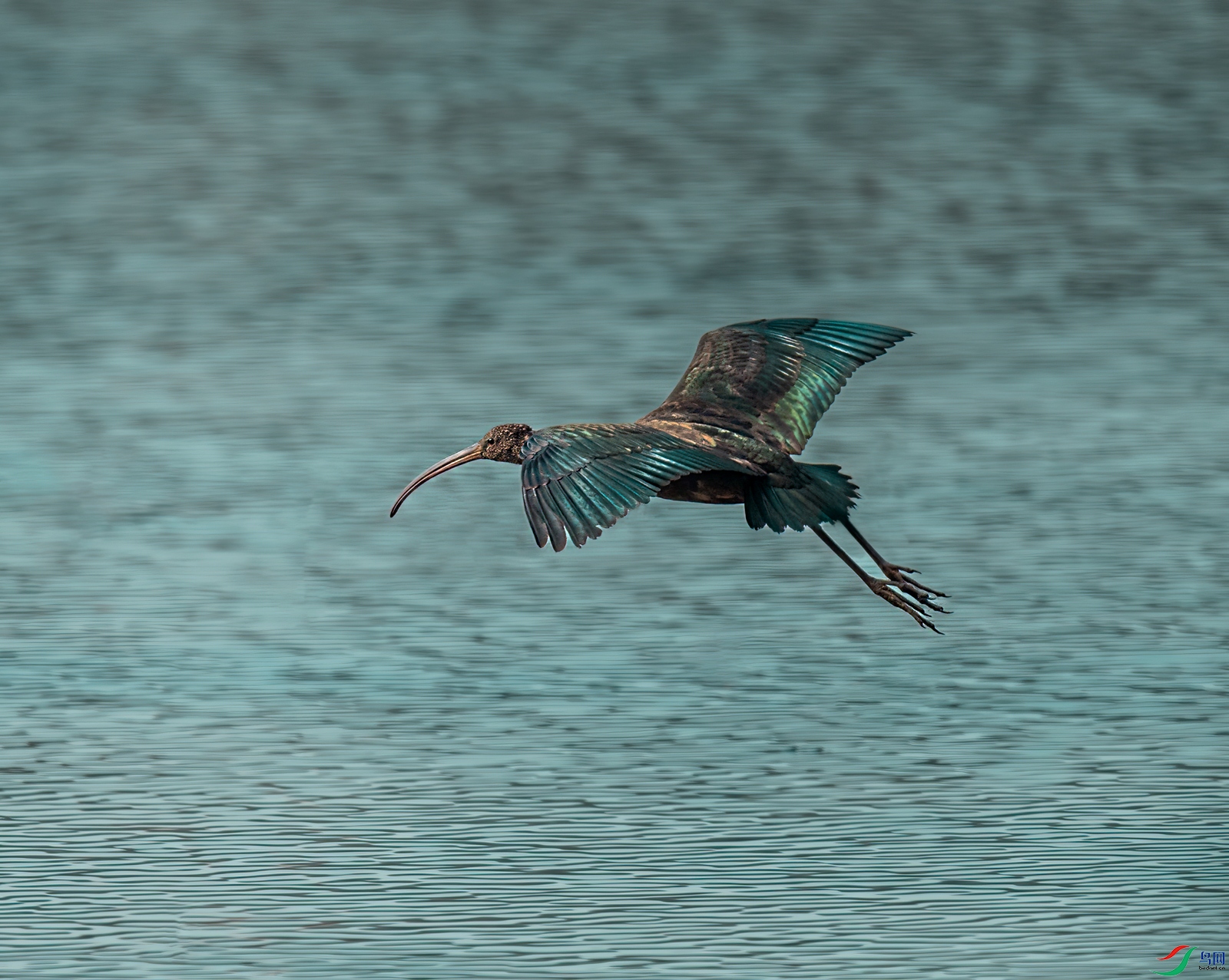 DSC_7398.jpg