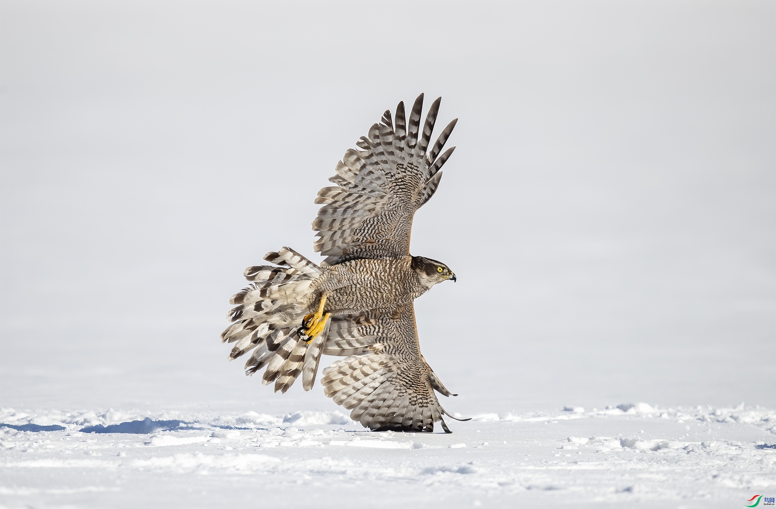 AC3I9869 ����.jpg