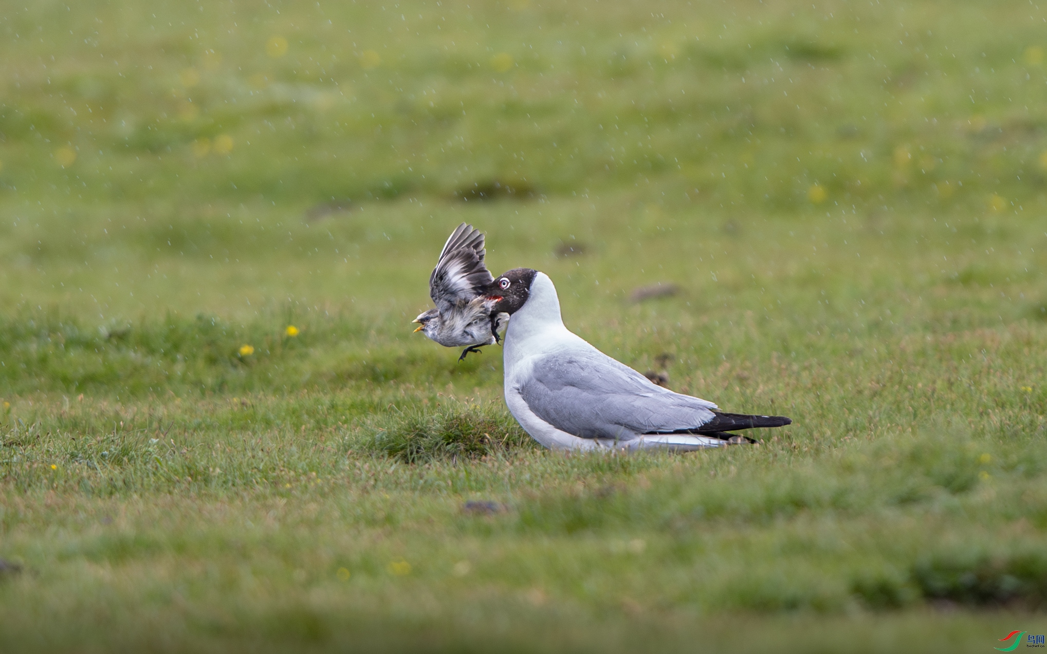 A15I4004 ����.jpg