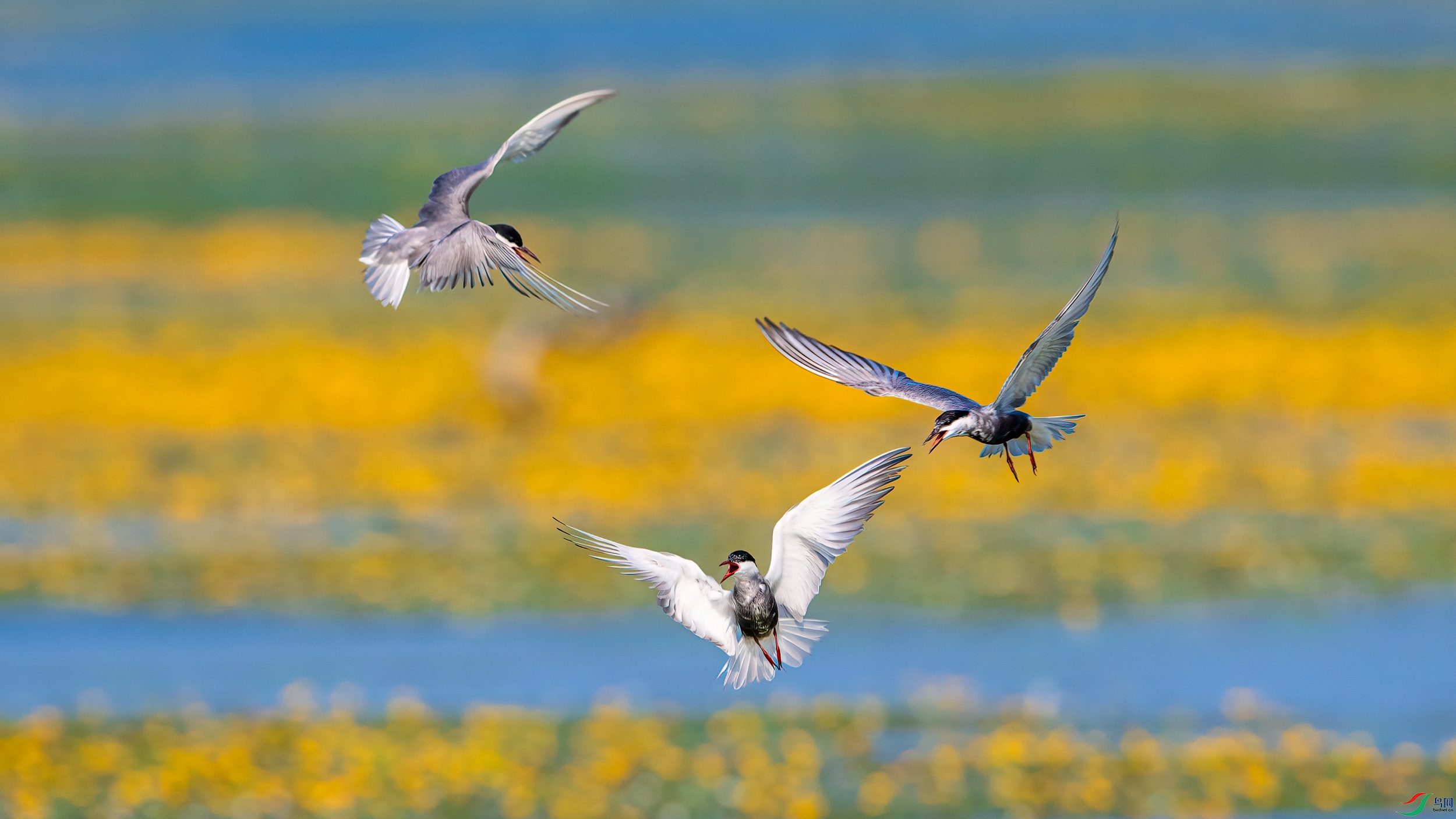 ��ƬDSC_7271 ����.jpg