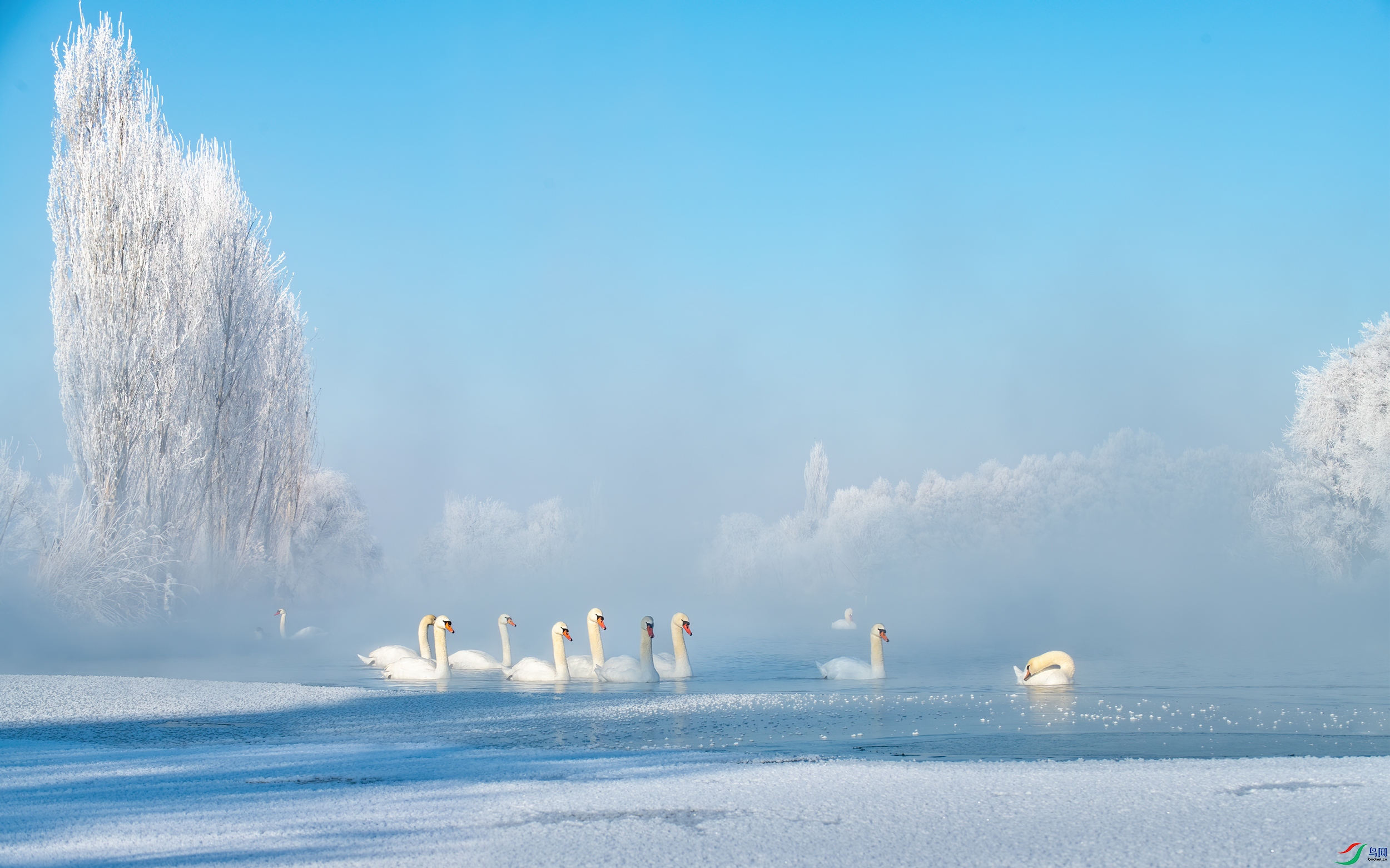 DSC_1908-11.jpg