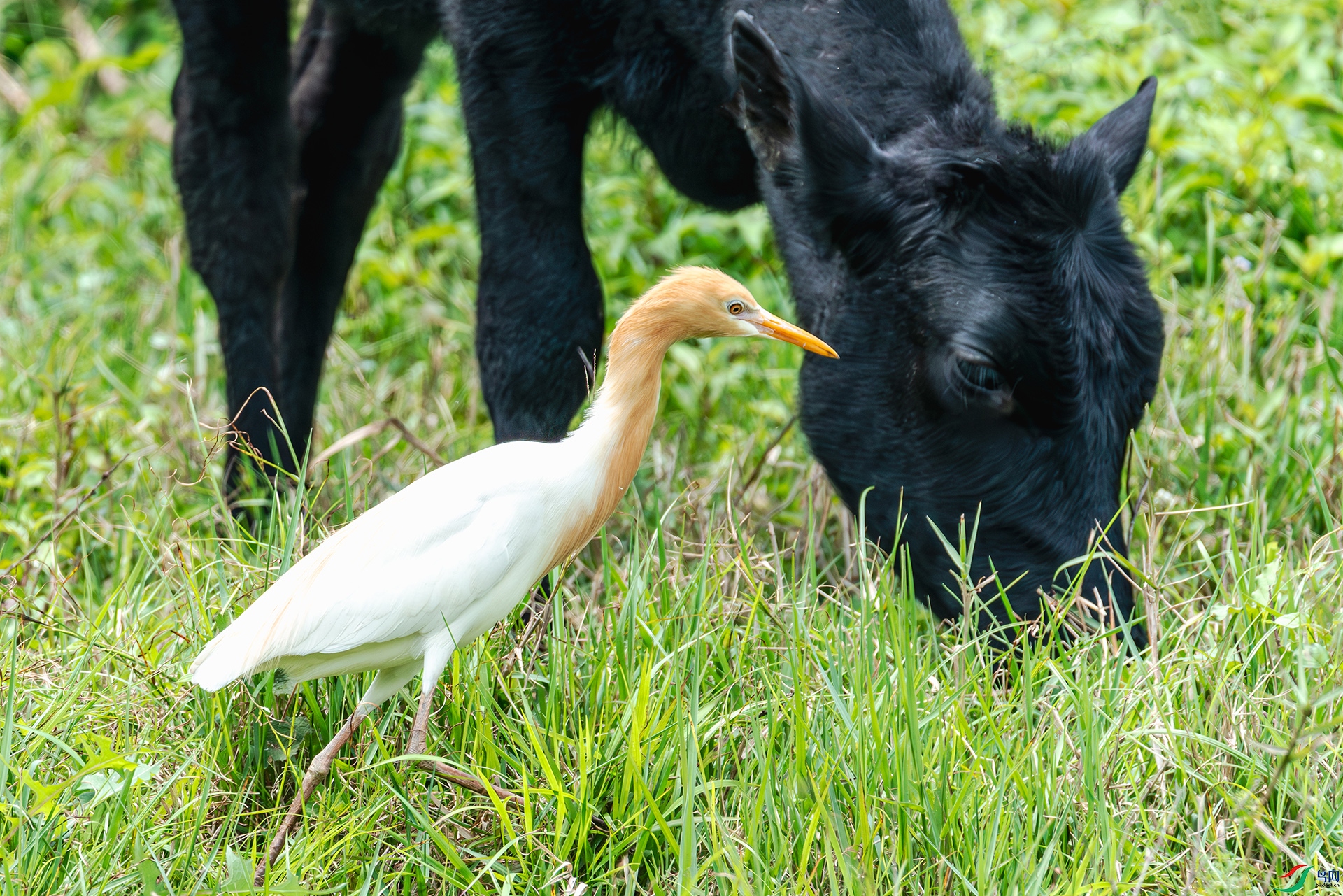 20240808ţ��ţ���� ����.jpg