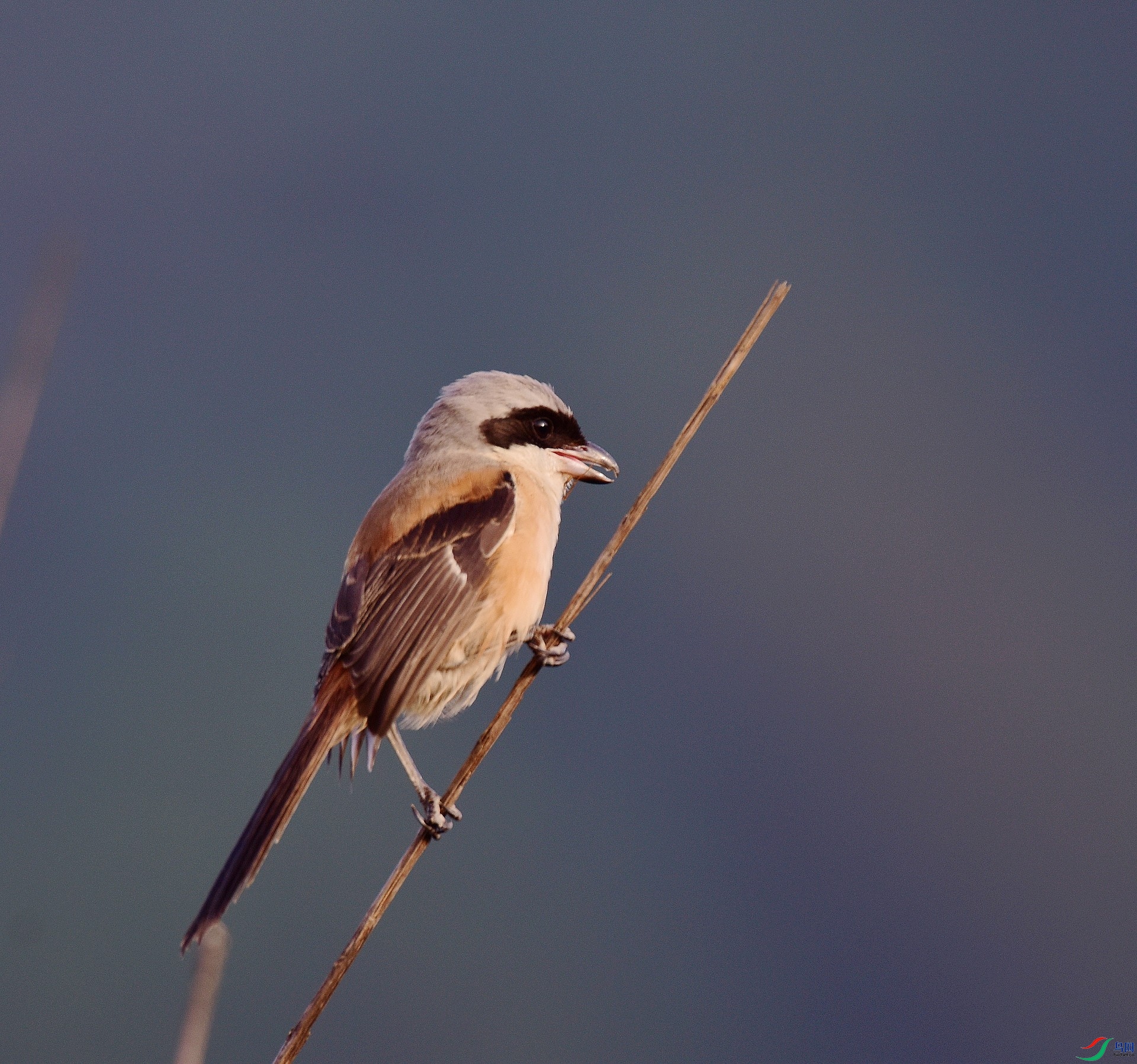 D8I_0682.jpg
