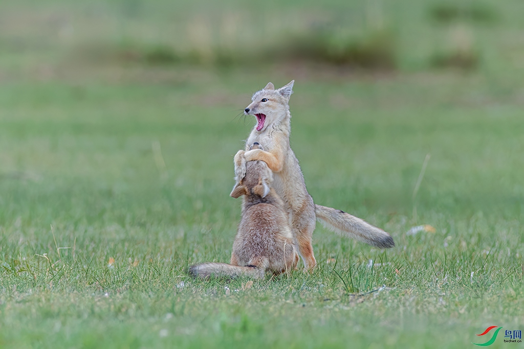 hbzjkR230611 (324)_DxO.jpg