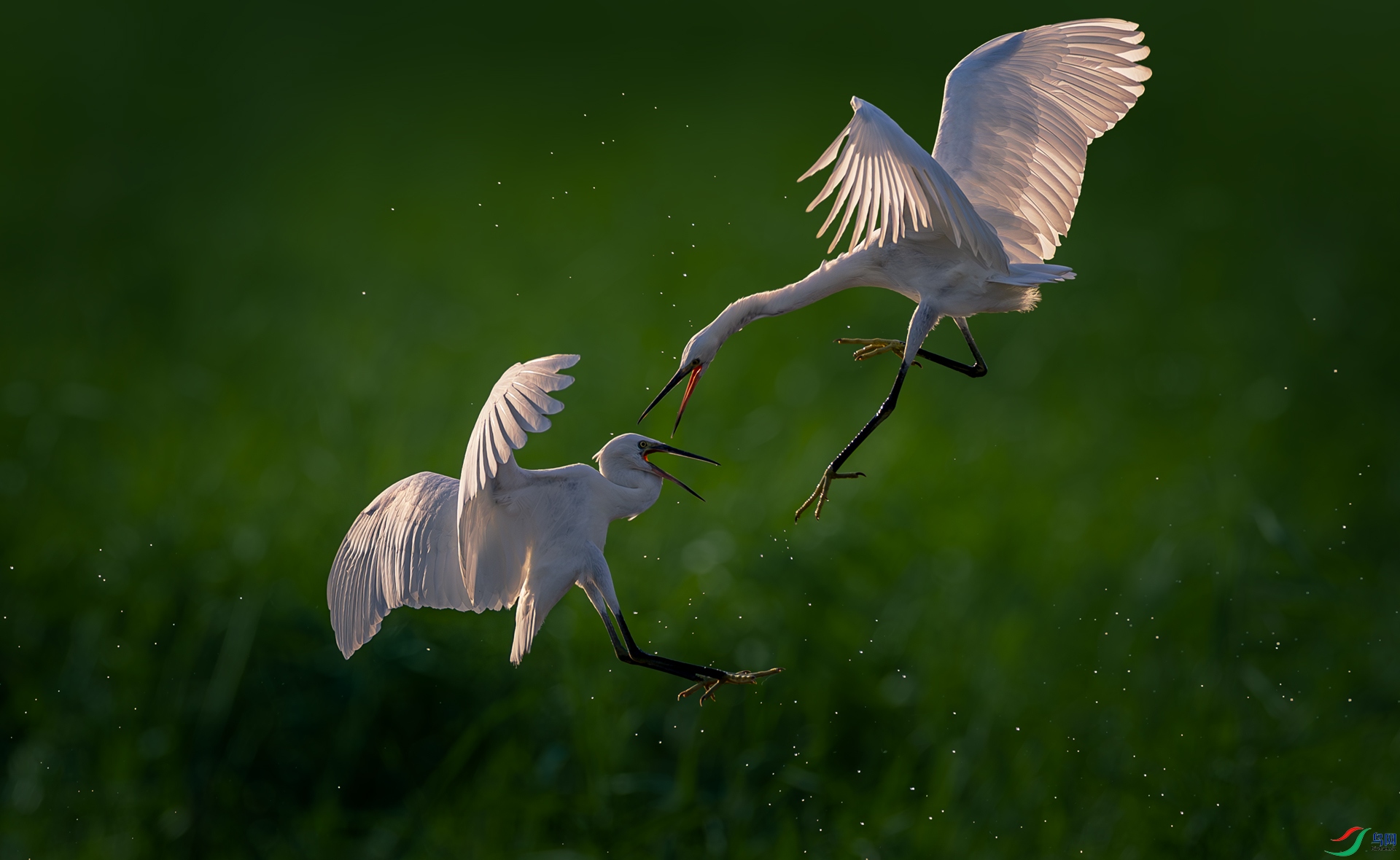 �����·�