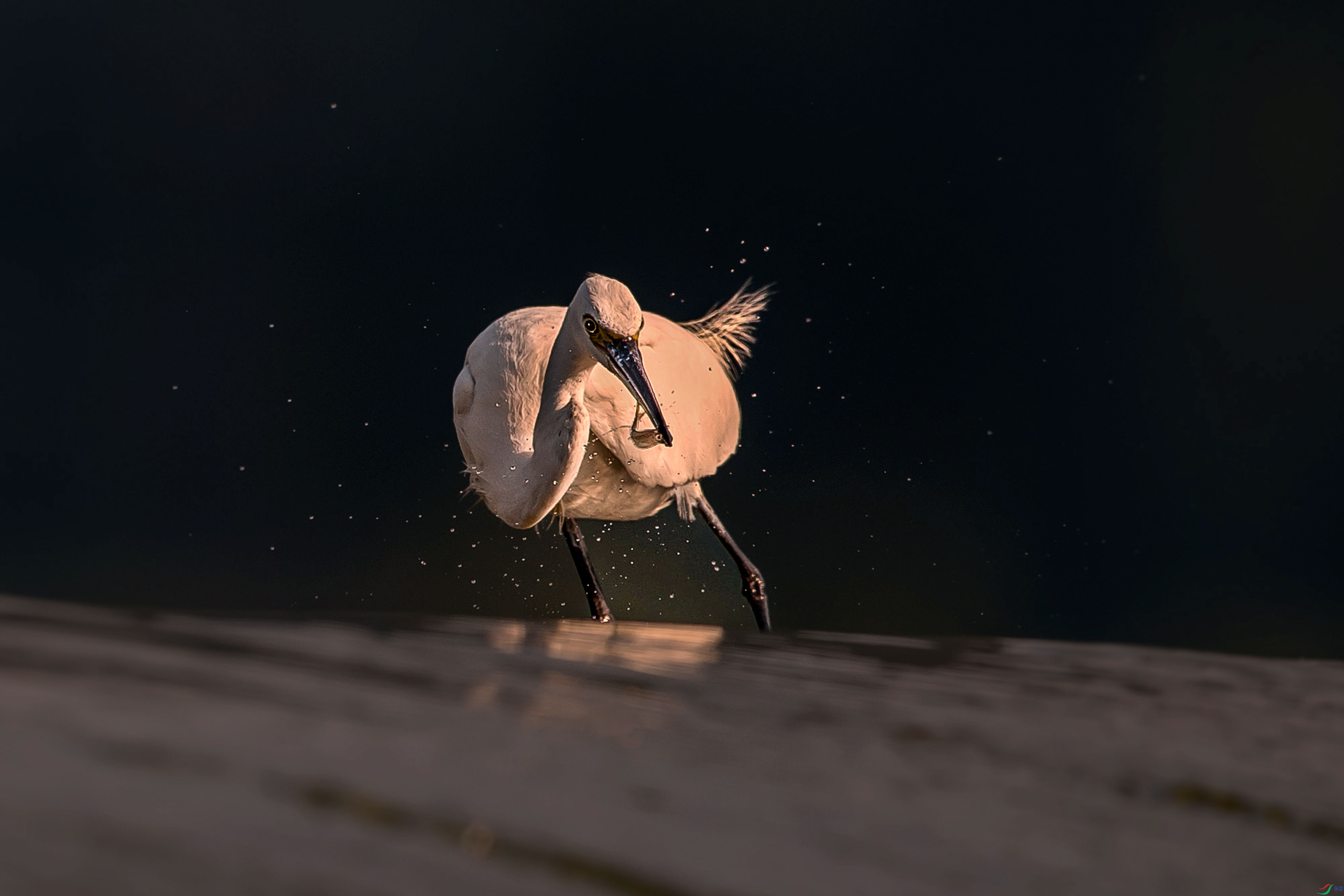 BI0I9897.jpg