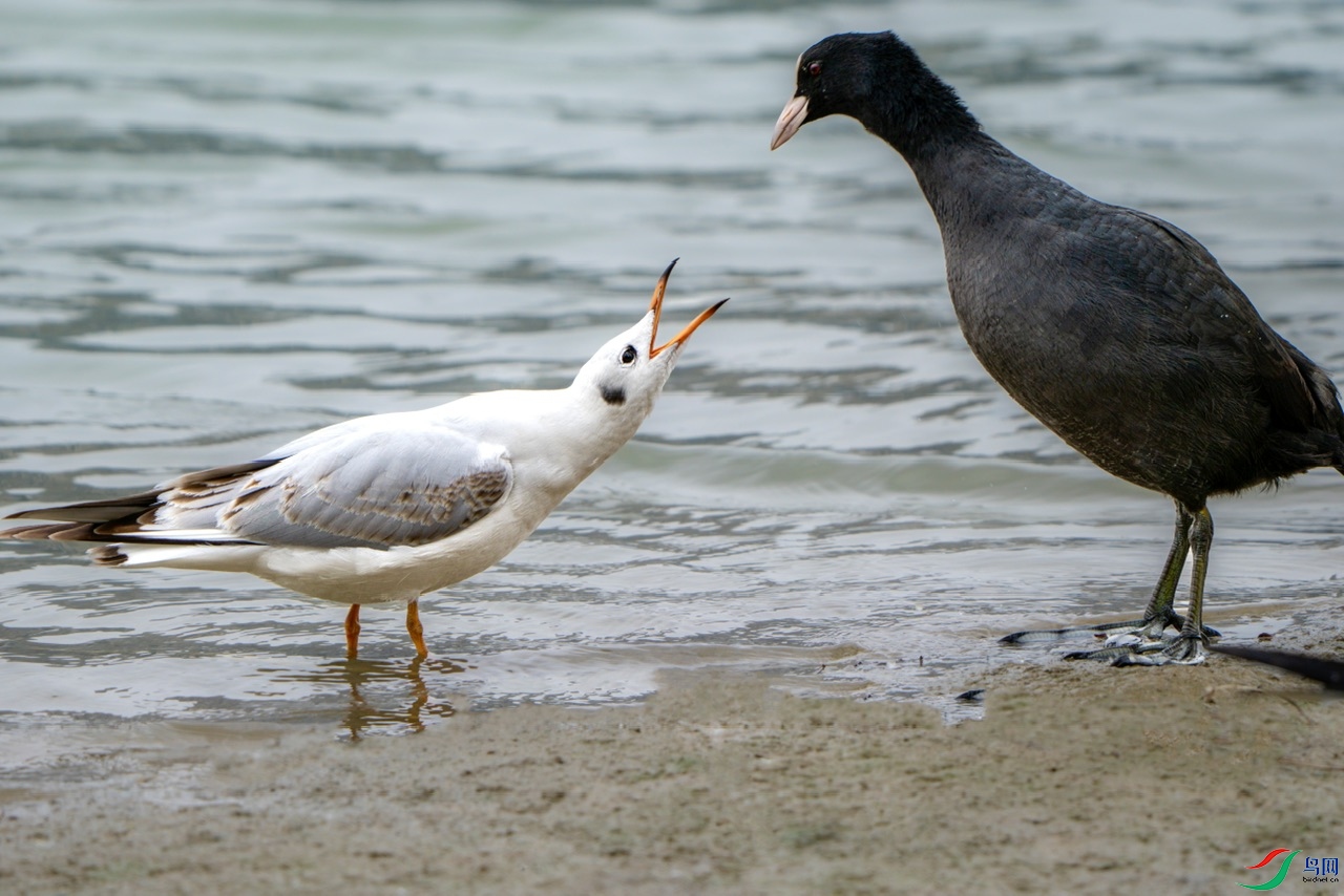 DSC02488-����ǿ ����.jpeg