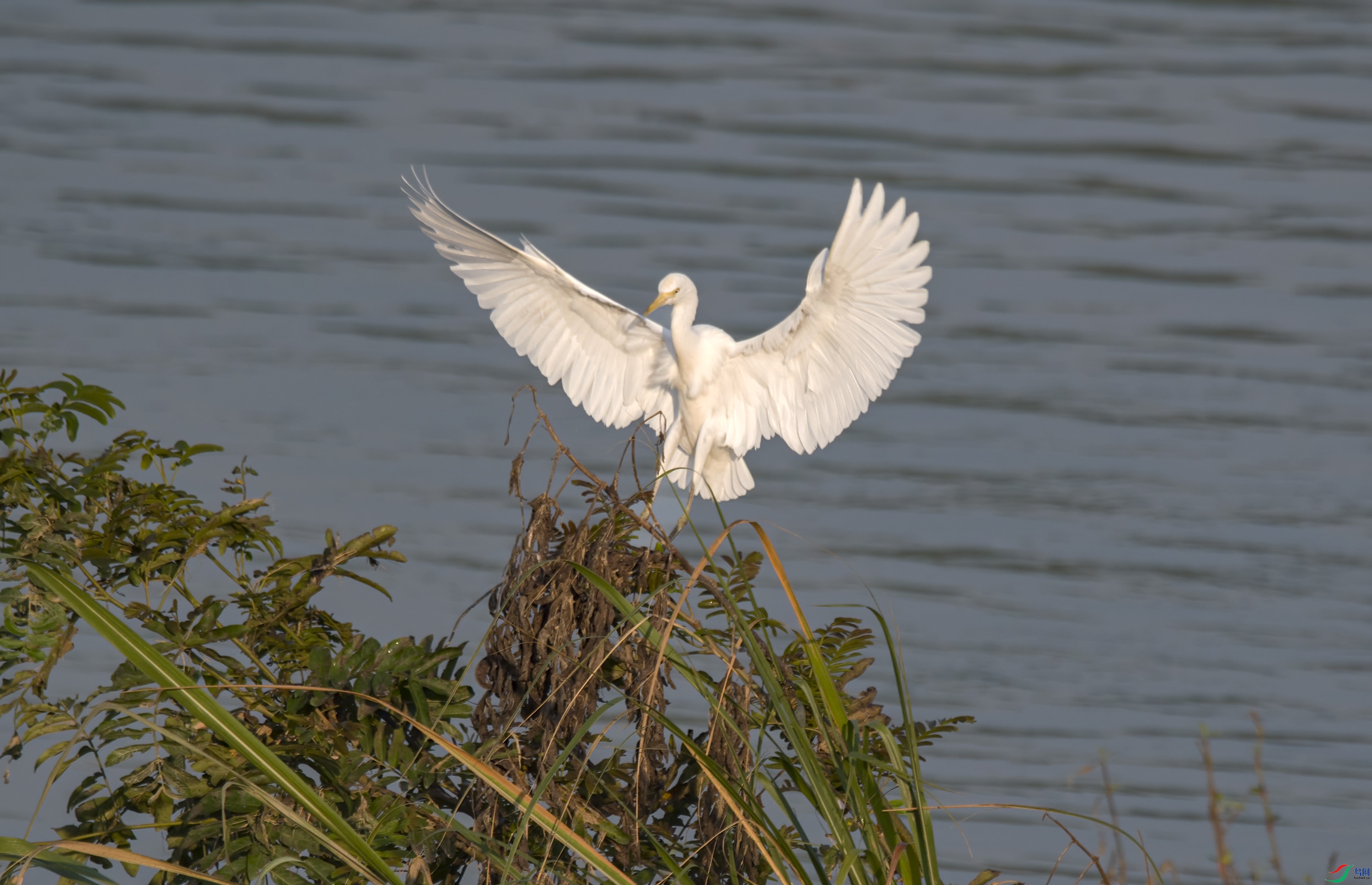 DSC_4213.jpg