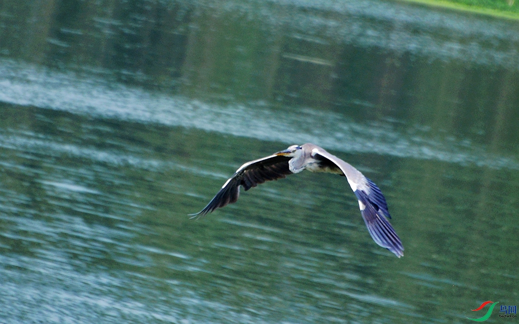 830 (57)_����.jpg