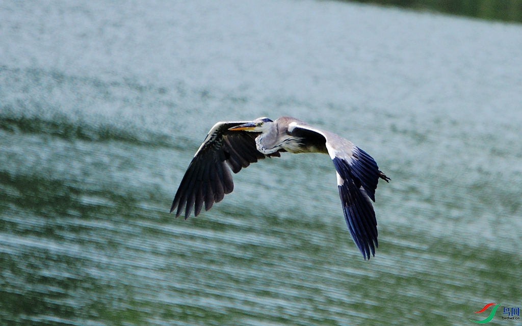 830 (58)_����.jpg