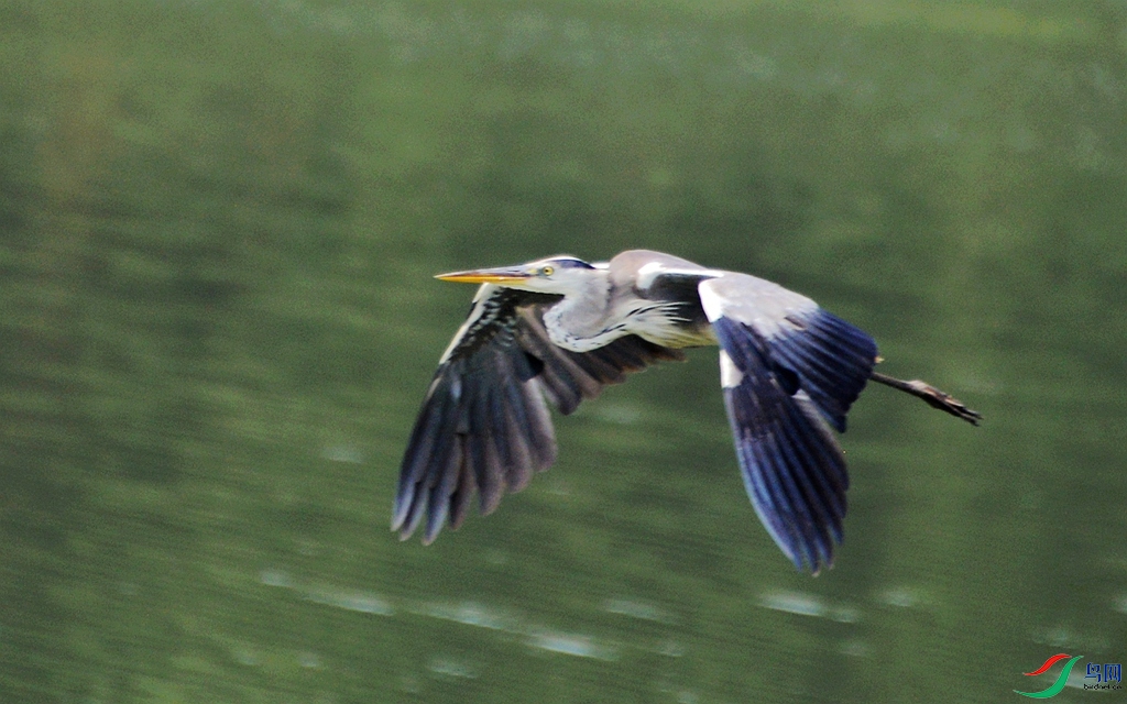 830 (59)_����.jpg