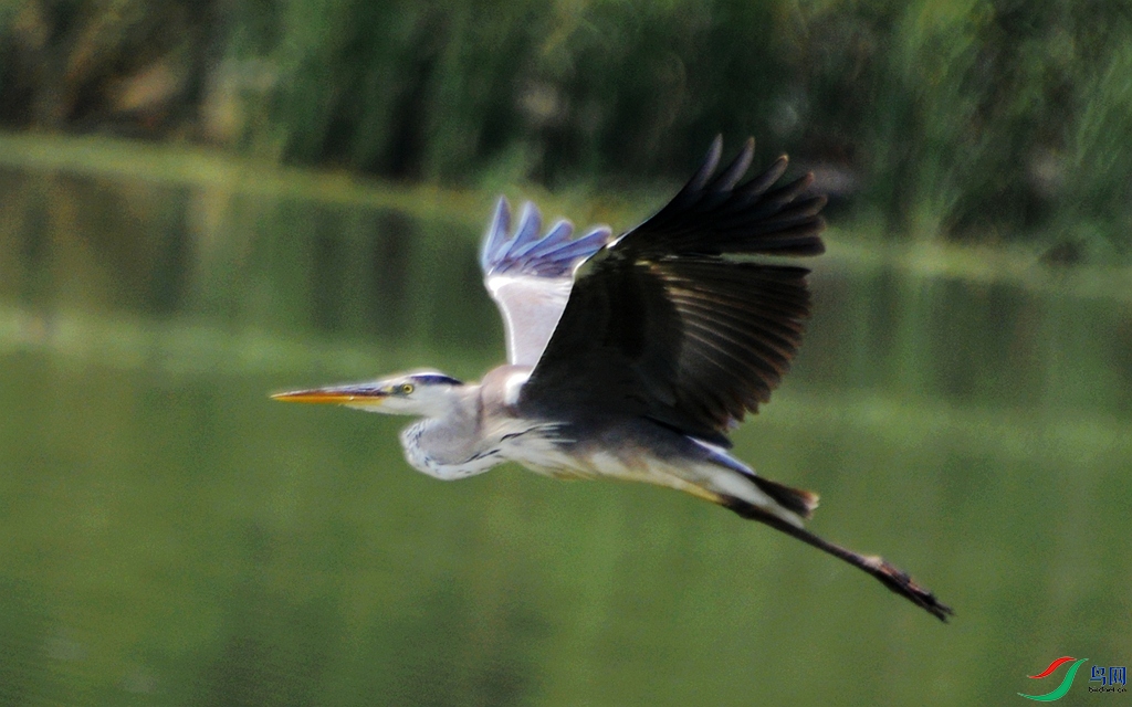 830 (61)_����.jpg