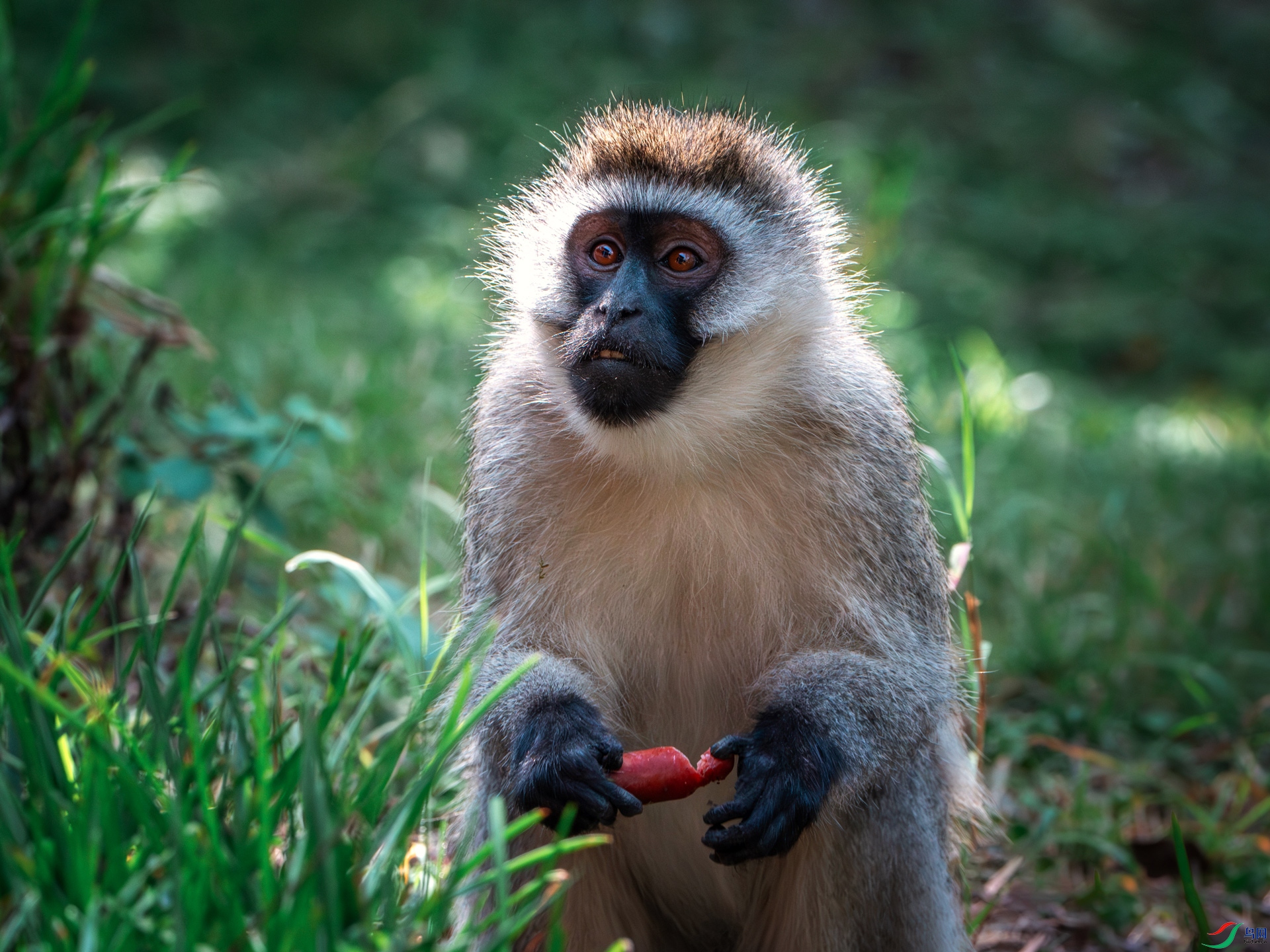 _DSC9101-xiao.jpg